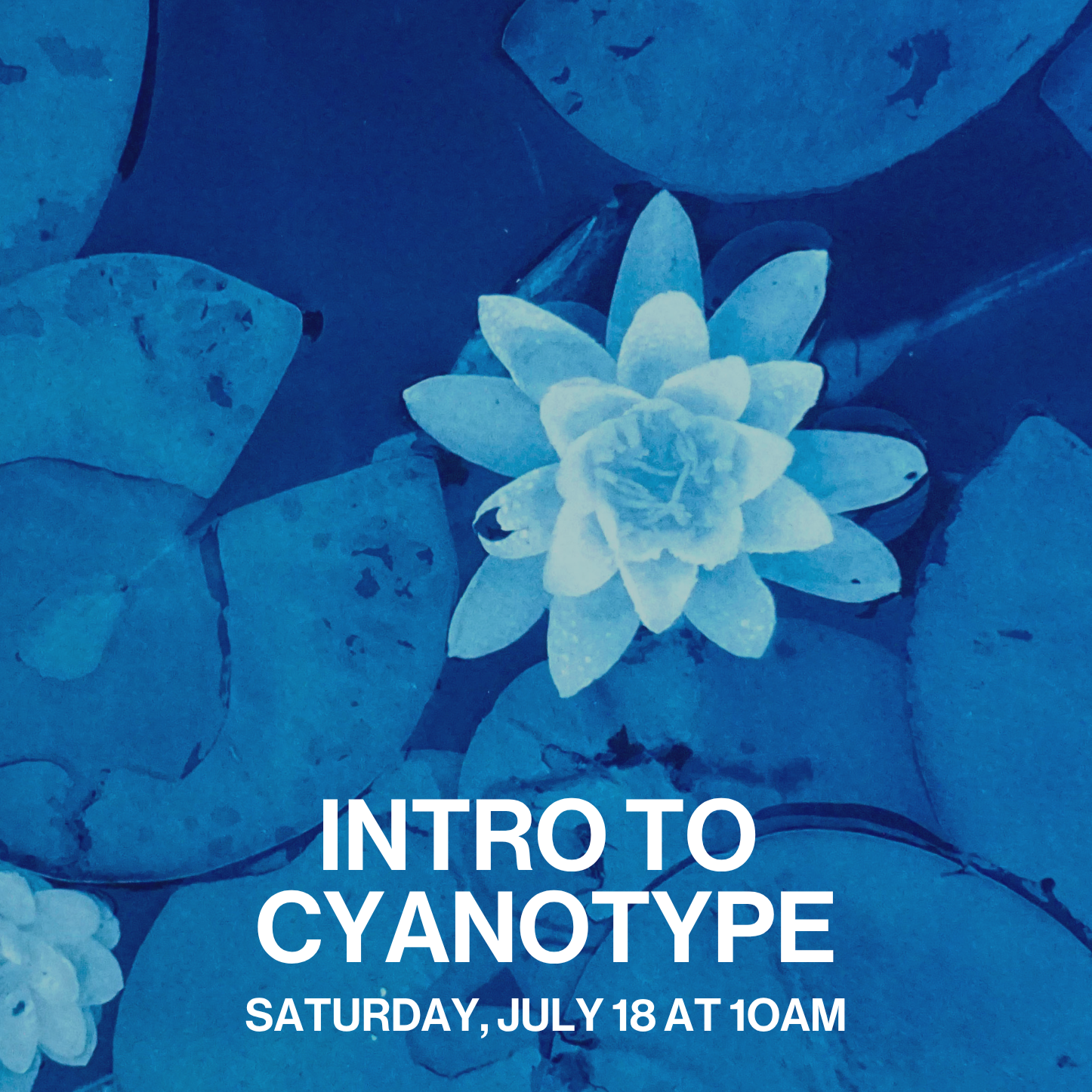 Intro To Cyanotype with Chris Losee