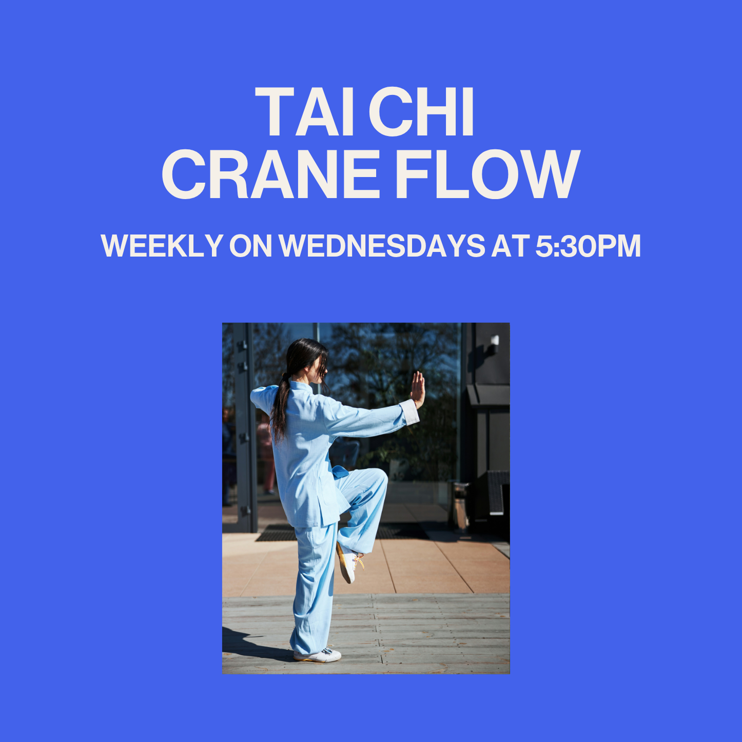 Tai Chi Crane Flow