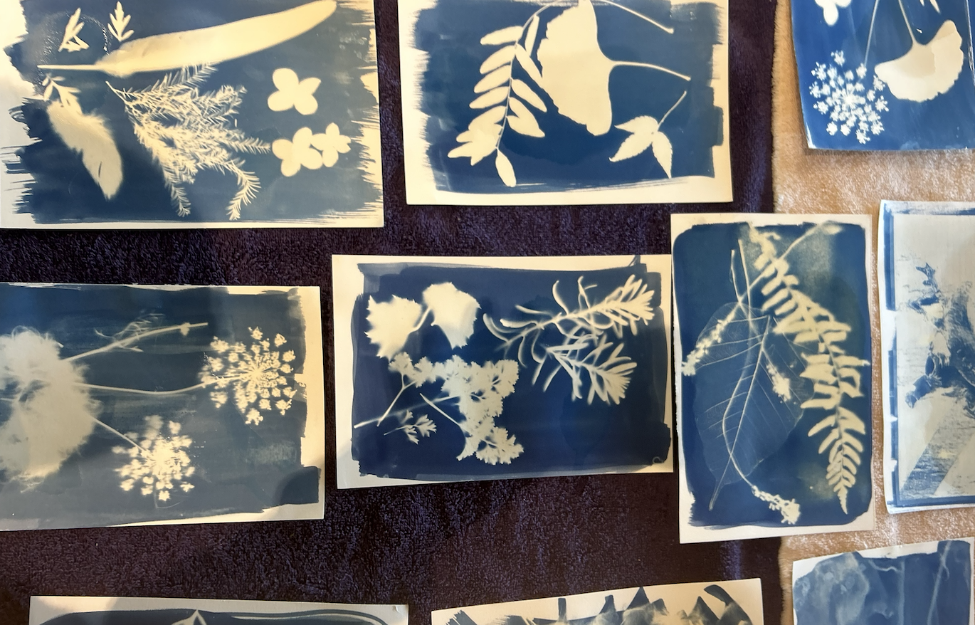 Collection of botanical cyanotype prints featuring leaves, flowers, and botanical motifs on fabric or paper.
