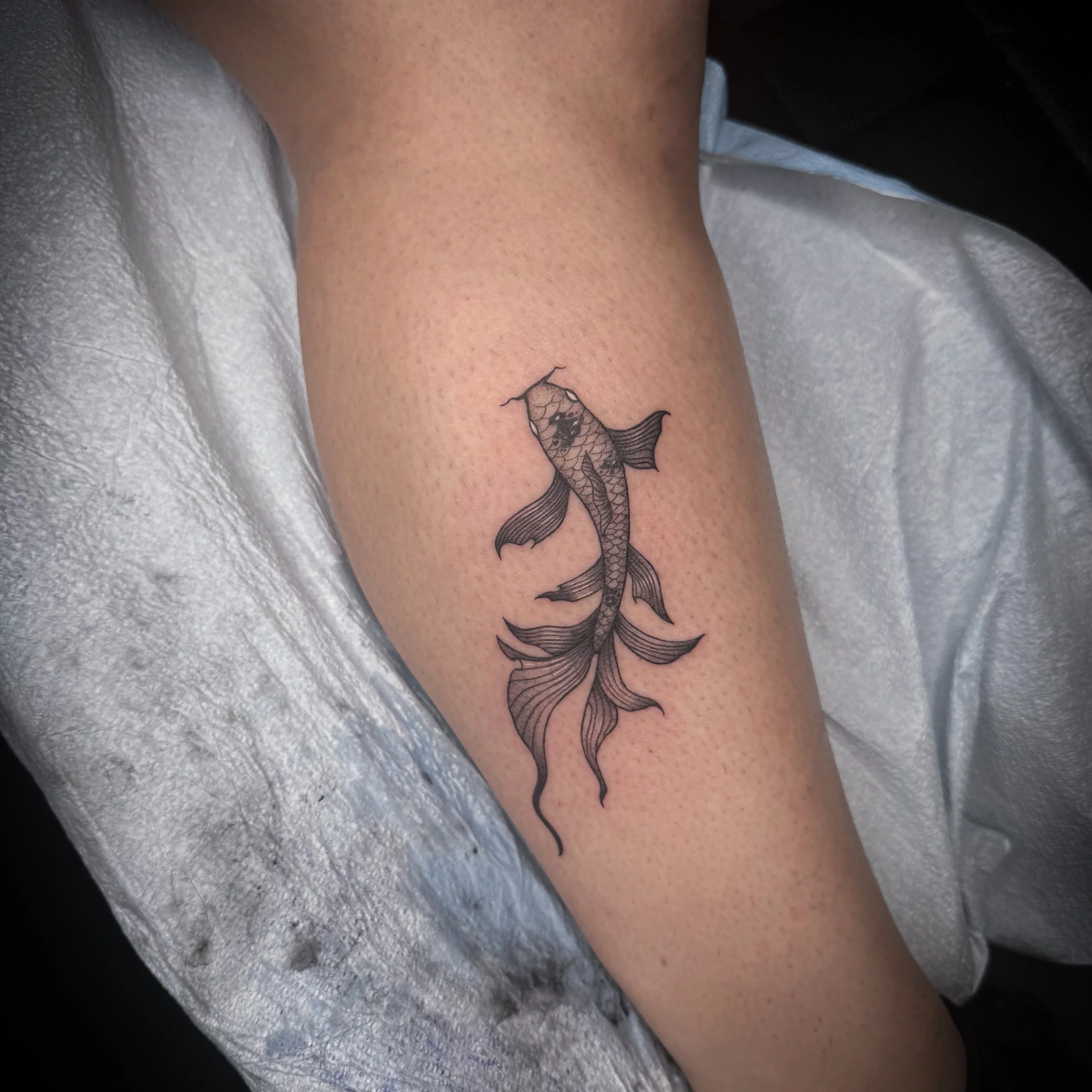Have you ever seen a gothic koi fish 🐠⛓️🏴&zwj;☠️
( a little shocked that there&rsquo;s no koi fish emoji btw)
.
.
.
#koifishtattoo #blackandgreytattoo #blackandgreyrealism #stuartflorida #southfloridatattoo