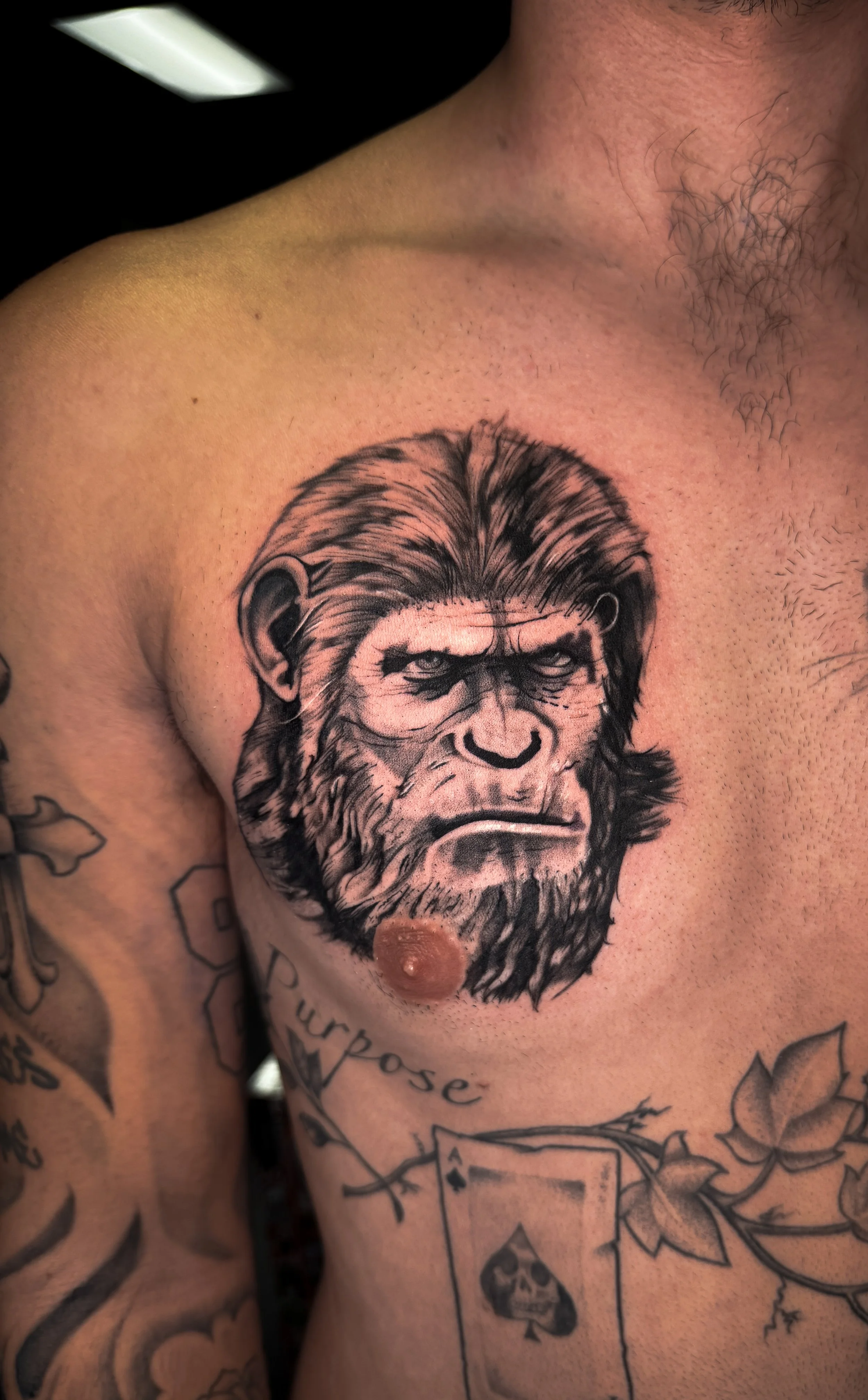 Tattoo of a gorilla's face, realism tattoo, black and white realism tatttoo in Stuart, Sewall’s Point, Hutchinson Island, Jensen Beach, Palm City, Port St. Lucie, Fort pierce, treasure coast and surrounding South Florida areas, chest tattoo