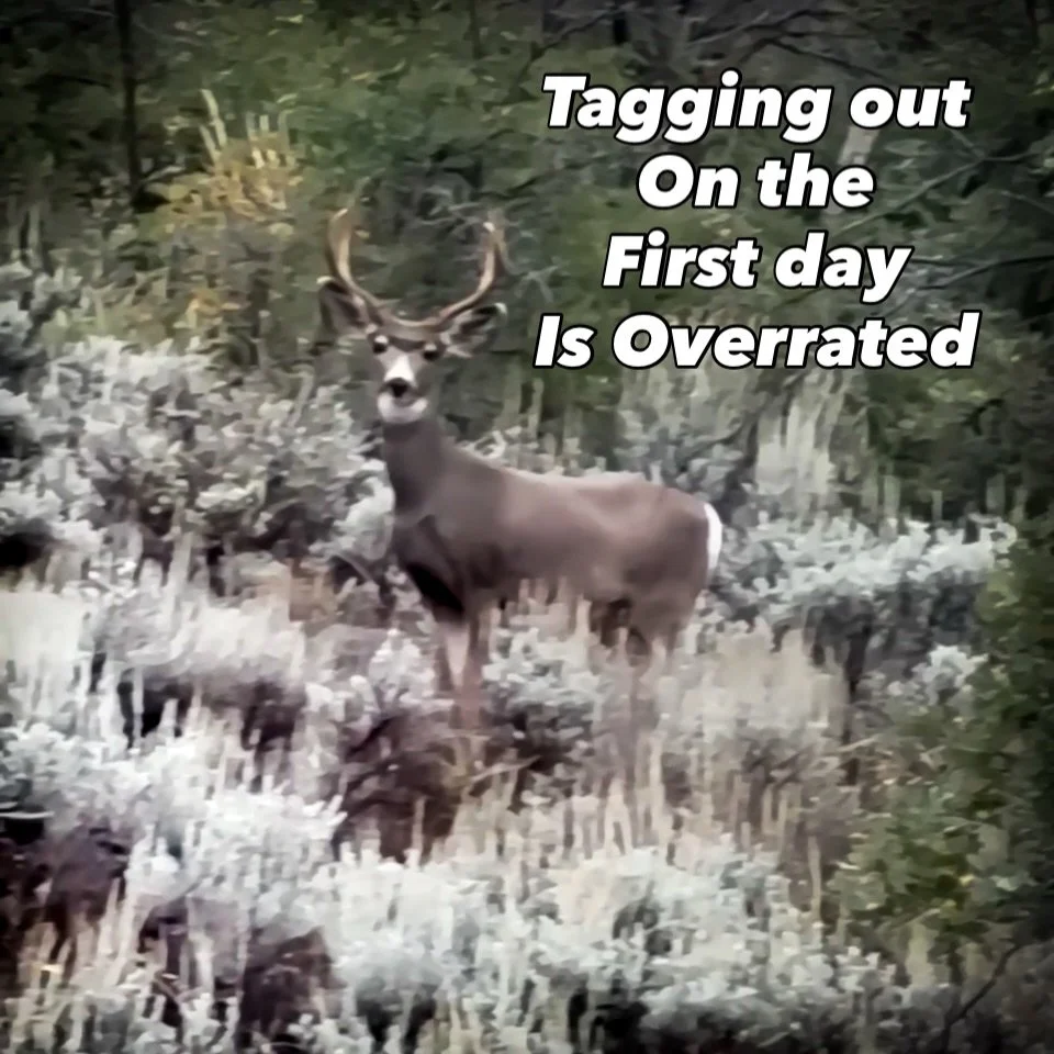 I&rsquo;ve been complaining about tagging out early for both my turkey hunt and archery elk hunt. 

Well&hellip; 10 days of hunting hard with a fire stick for deer and I would gladly take an early tag out, the Mrs. wouldn&rsquo;t mind either.