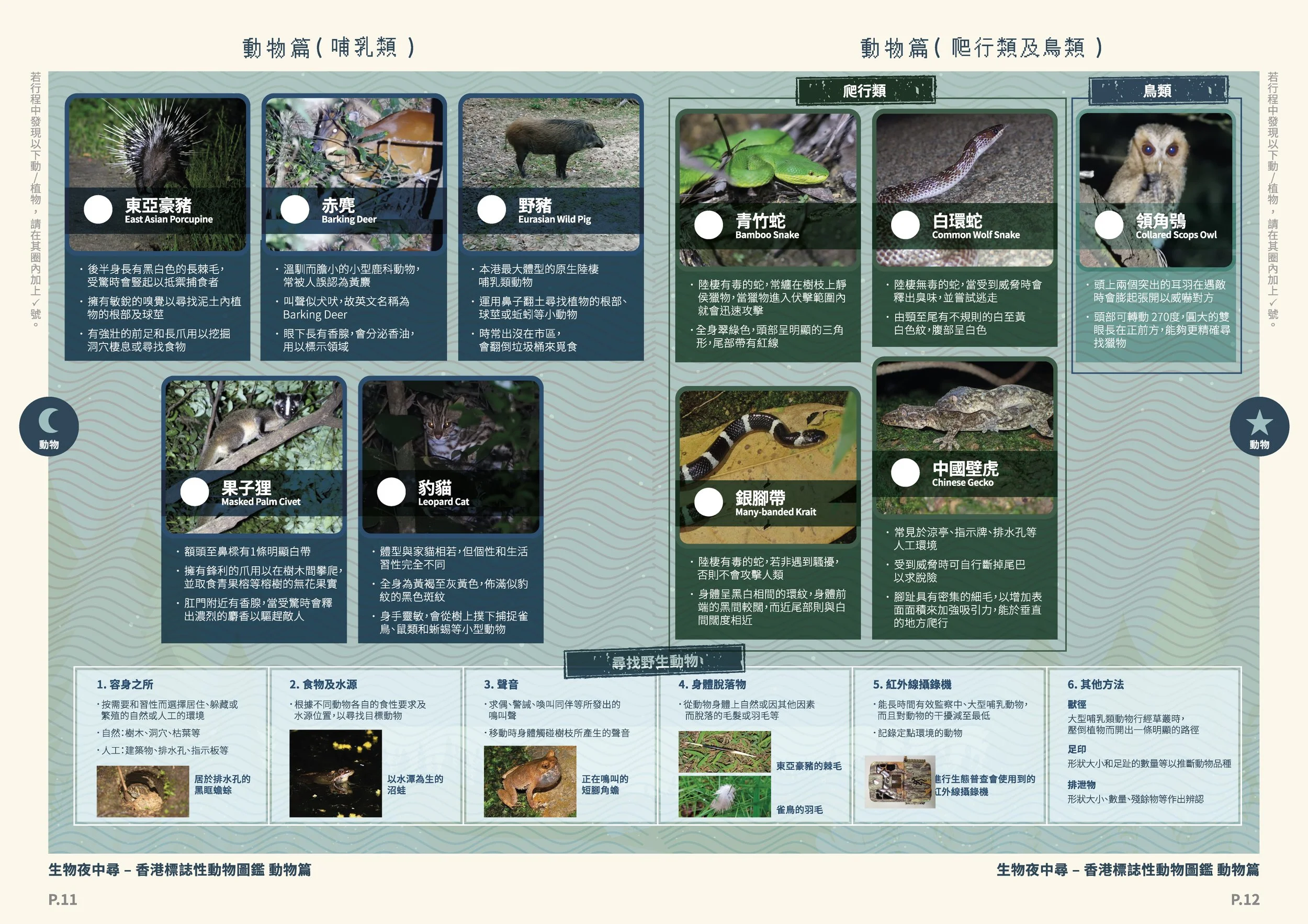 OceanPark_NaturePlus_148.5*210_15_op_07 Night life.jpg