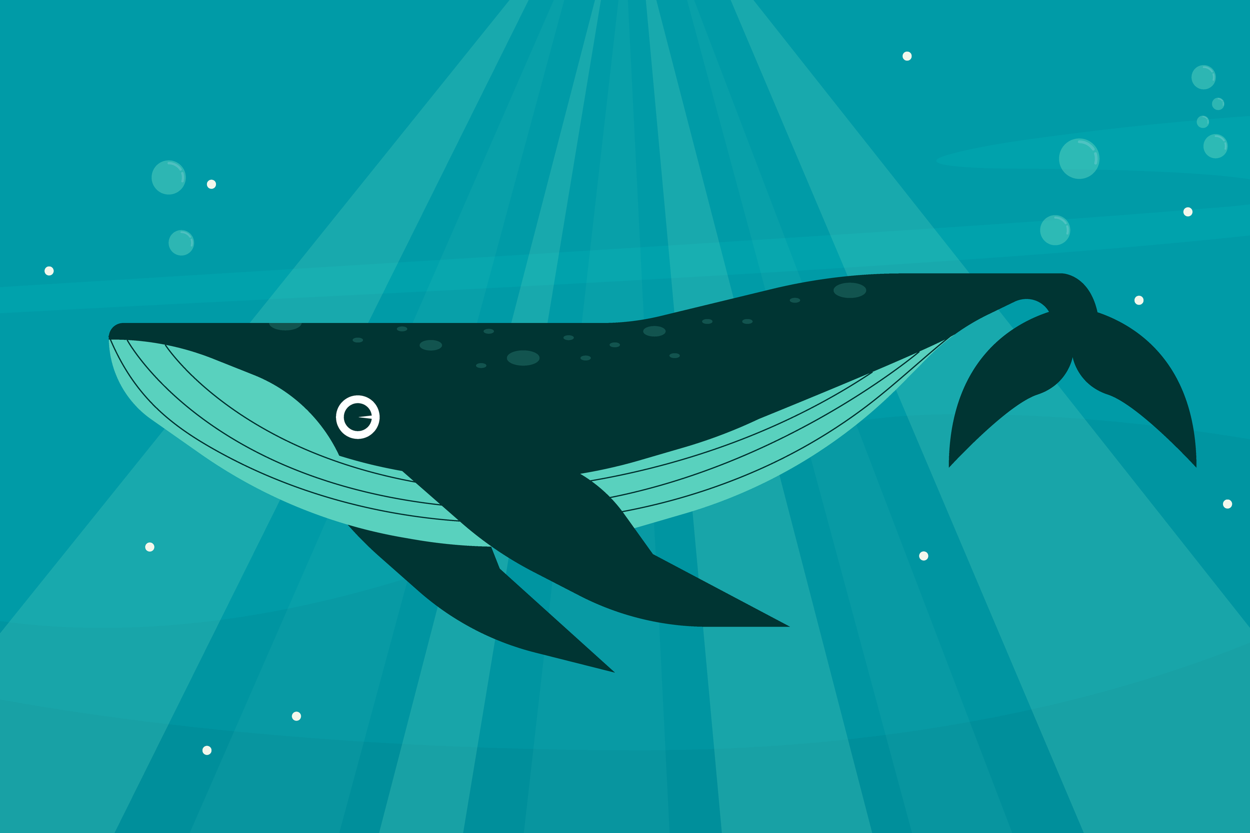 Trip_AnimalIllustrations_01_06 Whale.png