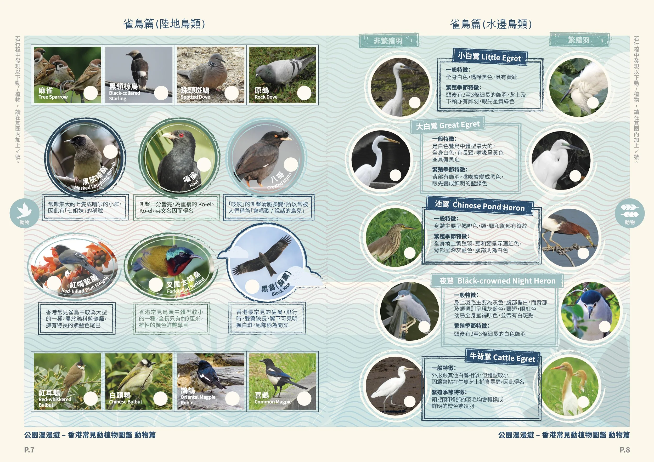 OceanPark_NaturePlus_148.5*210_15_op_05 Birds.jpg