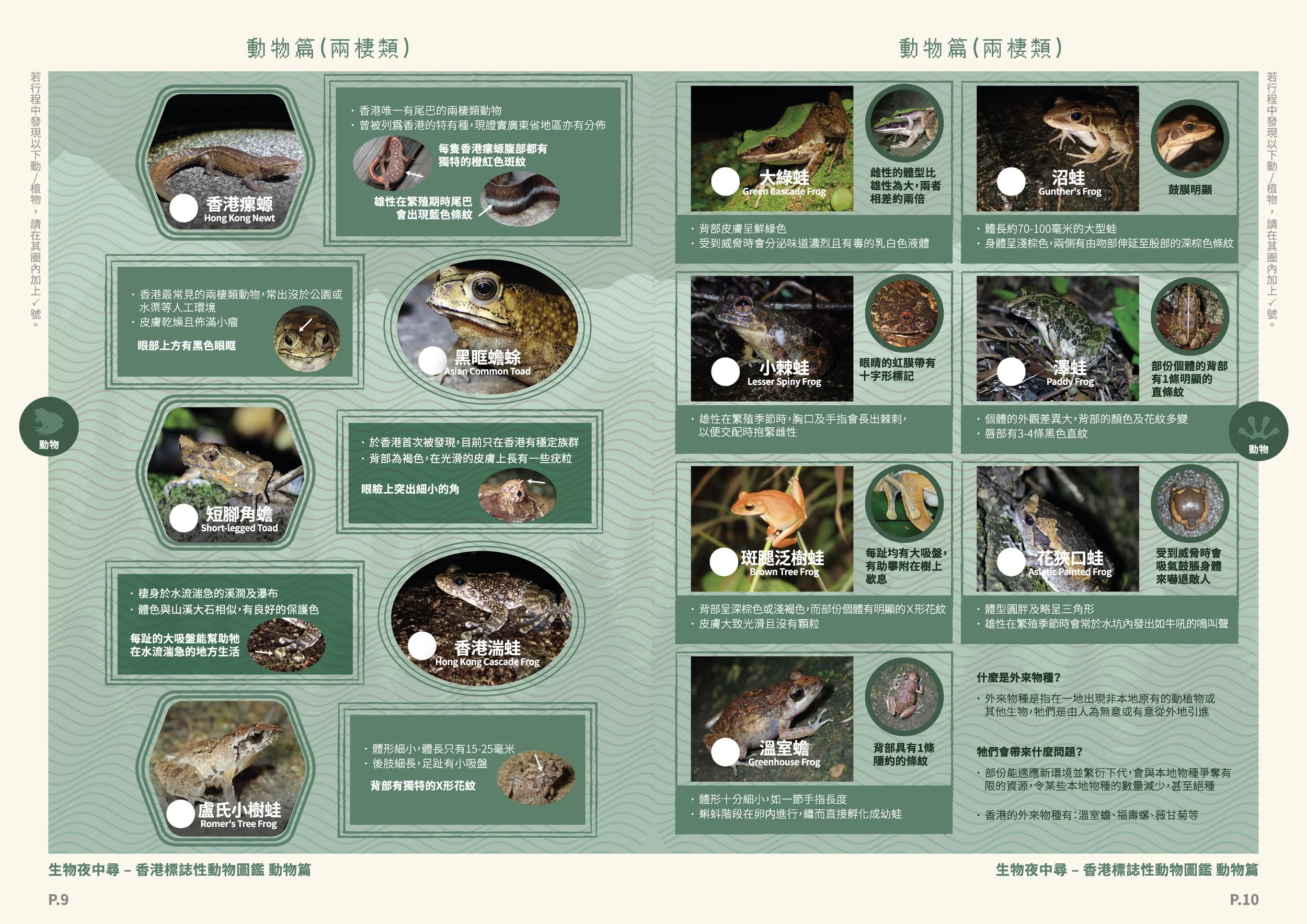 OceanPark_NaturePlus_148.5*210_15_op_06 Frog.jpg