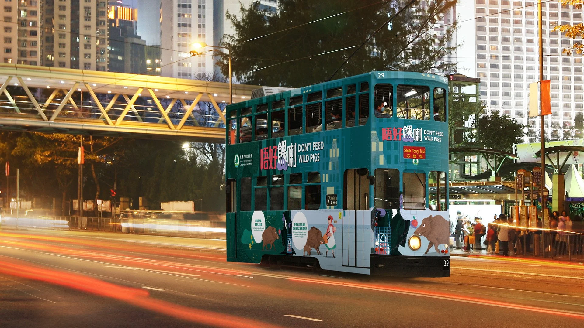 AFCD_TCI_Y2201_H (1).jpg