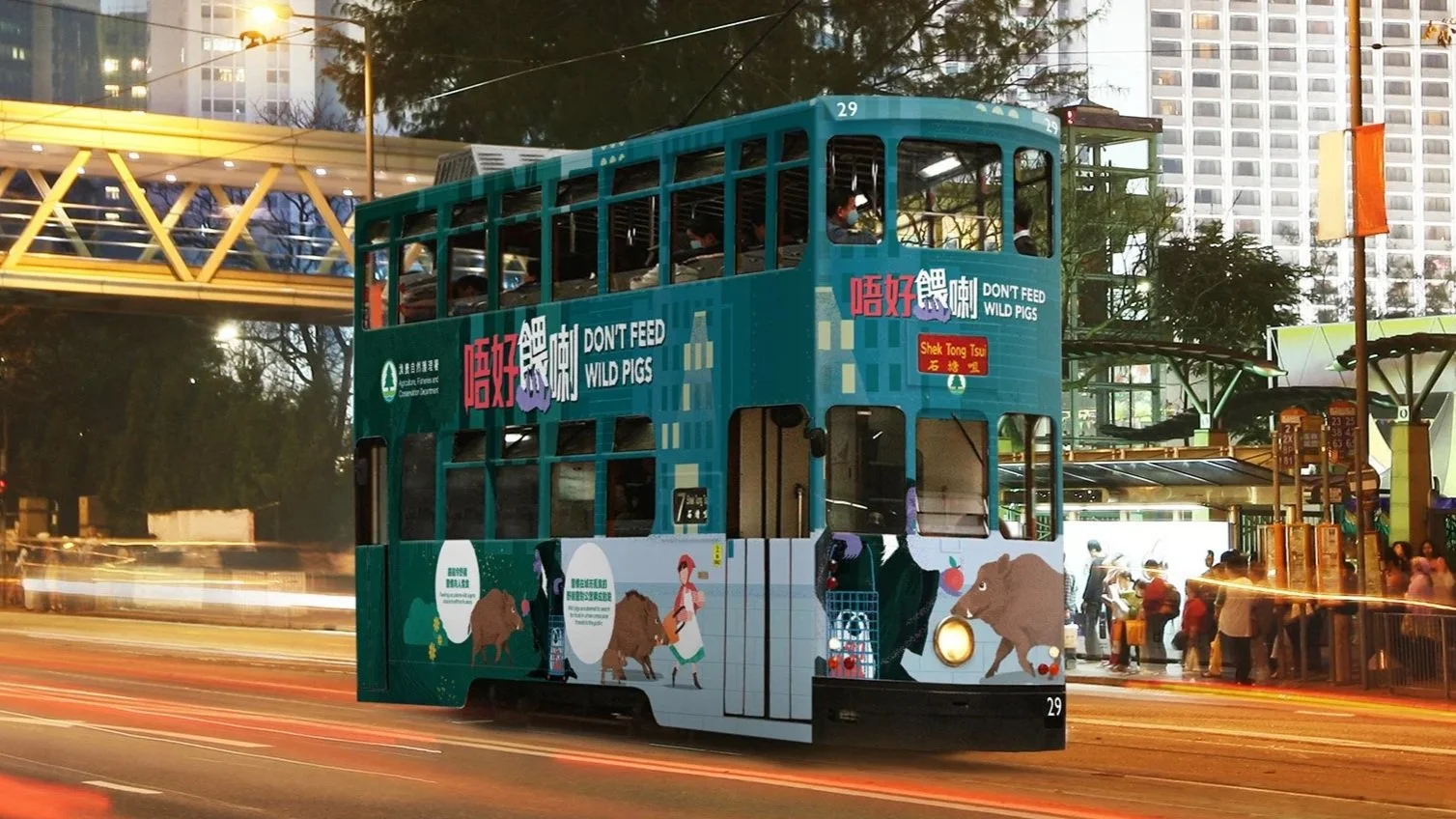 AFCD Don't Feed Wild Pigs Key Visual