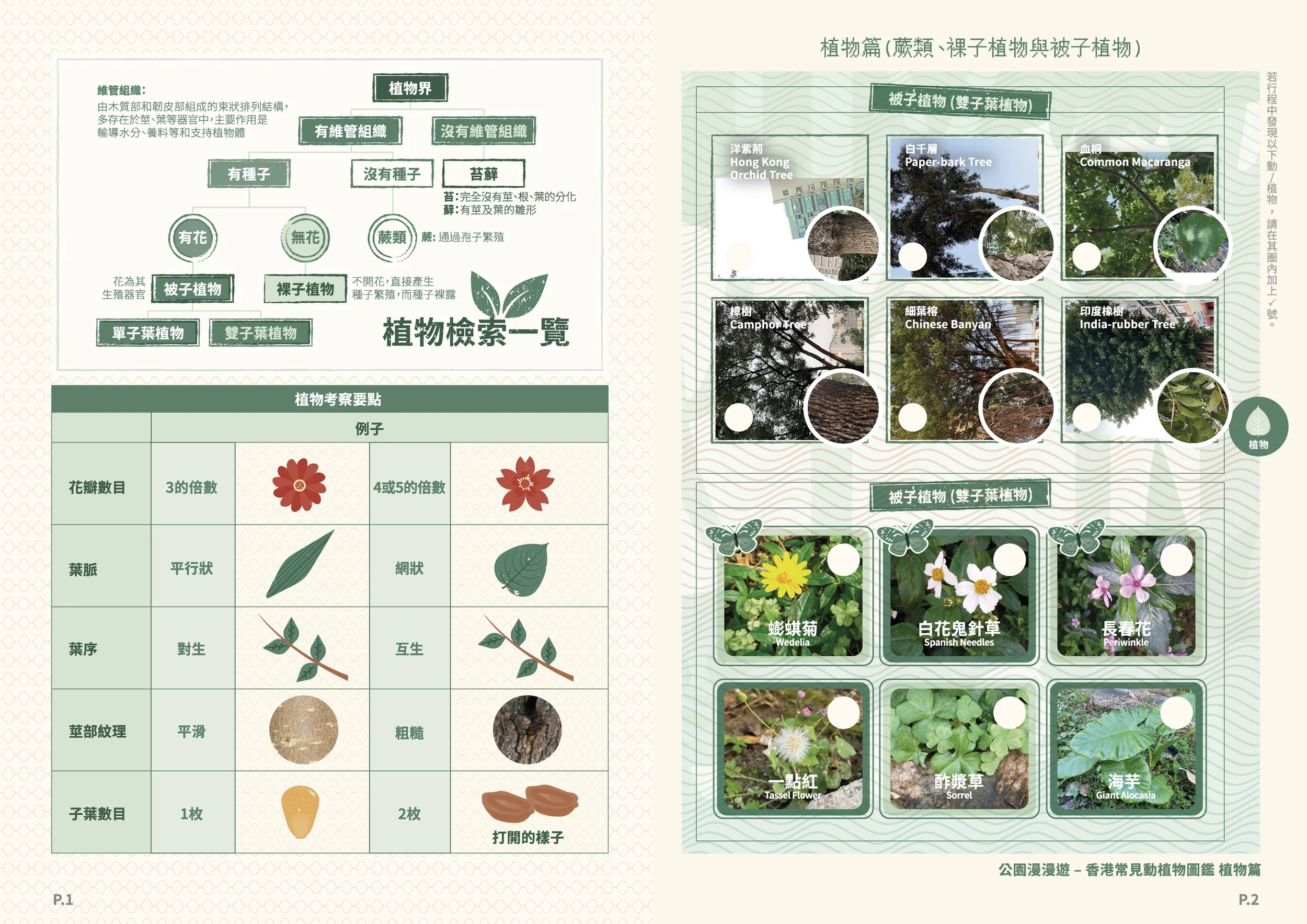 OceanPark_NaturePlus_148.5*210_15_op_02 Plants.jpg