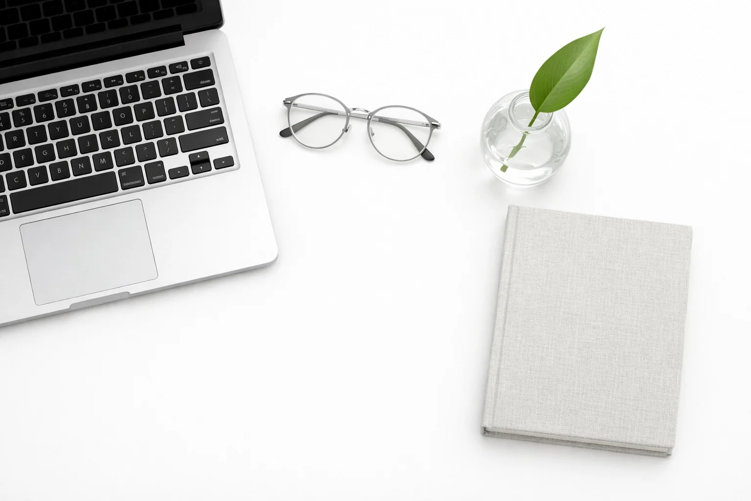 VIP Reset + Maintenance Bundle