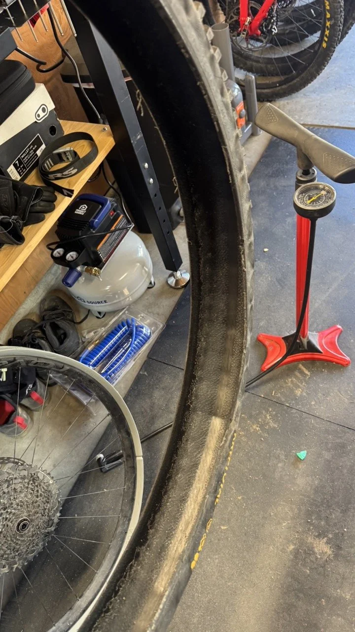 17DA007B-A159-419E-8C26-1EF4A950611F Large.jpeg