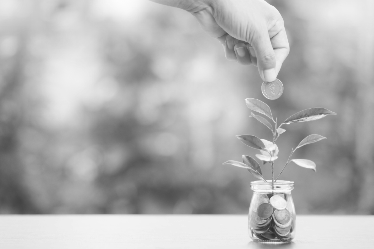 Sustainable Living: Eco-Friendly Practices for Retirees