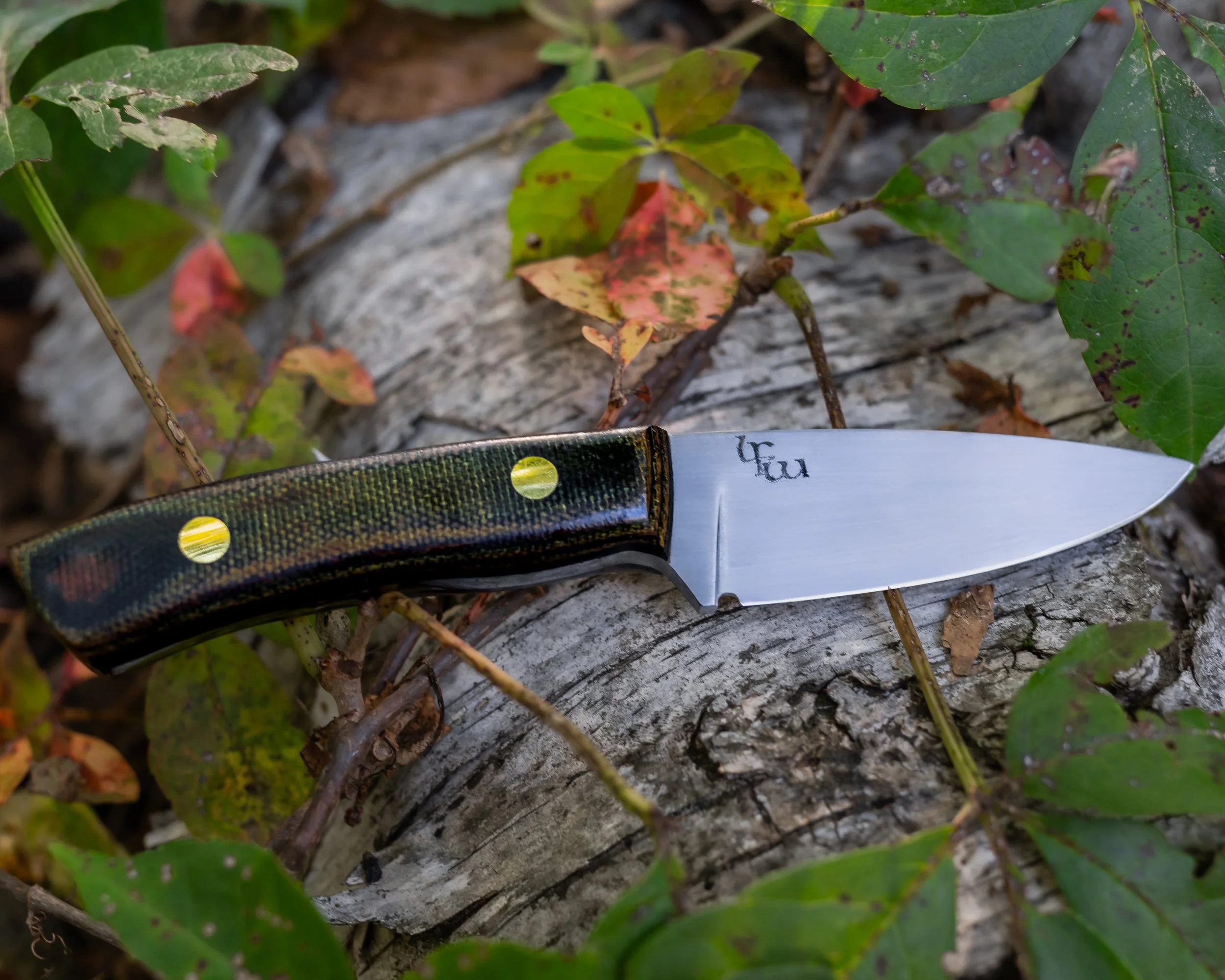 A fixed-blade hunting knife with a black and green handle lying on a fallen tree trunk surrounded by green and reddish leaves.