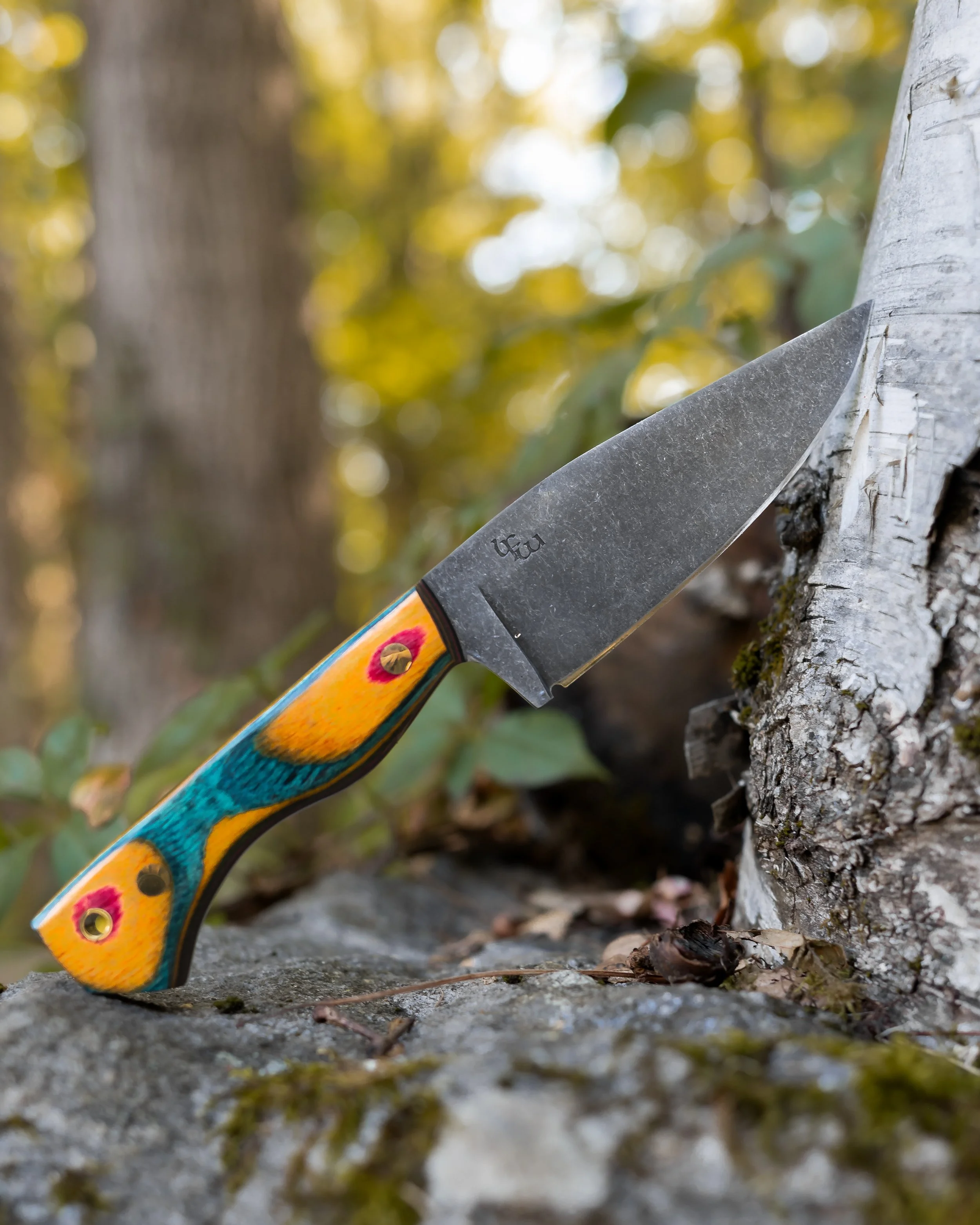 A hunting knife with a colorful handle stuck into a tree trunk outdoors.
