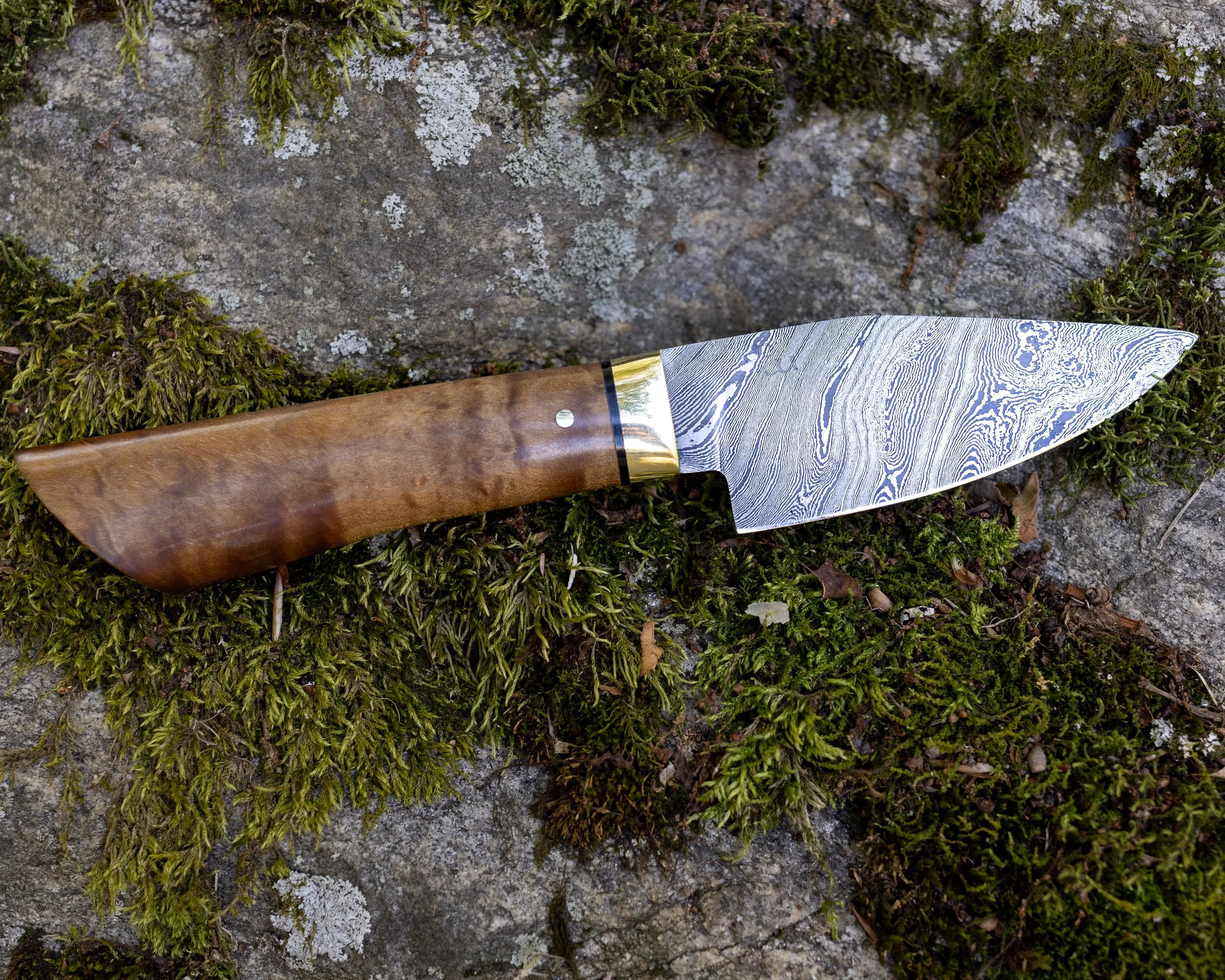 A Damascus steel knife with a wooden handle resting on mossy rocks.
