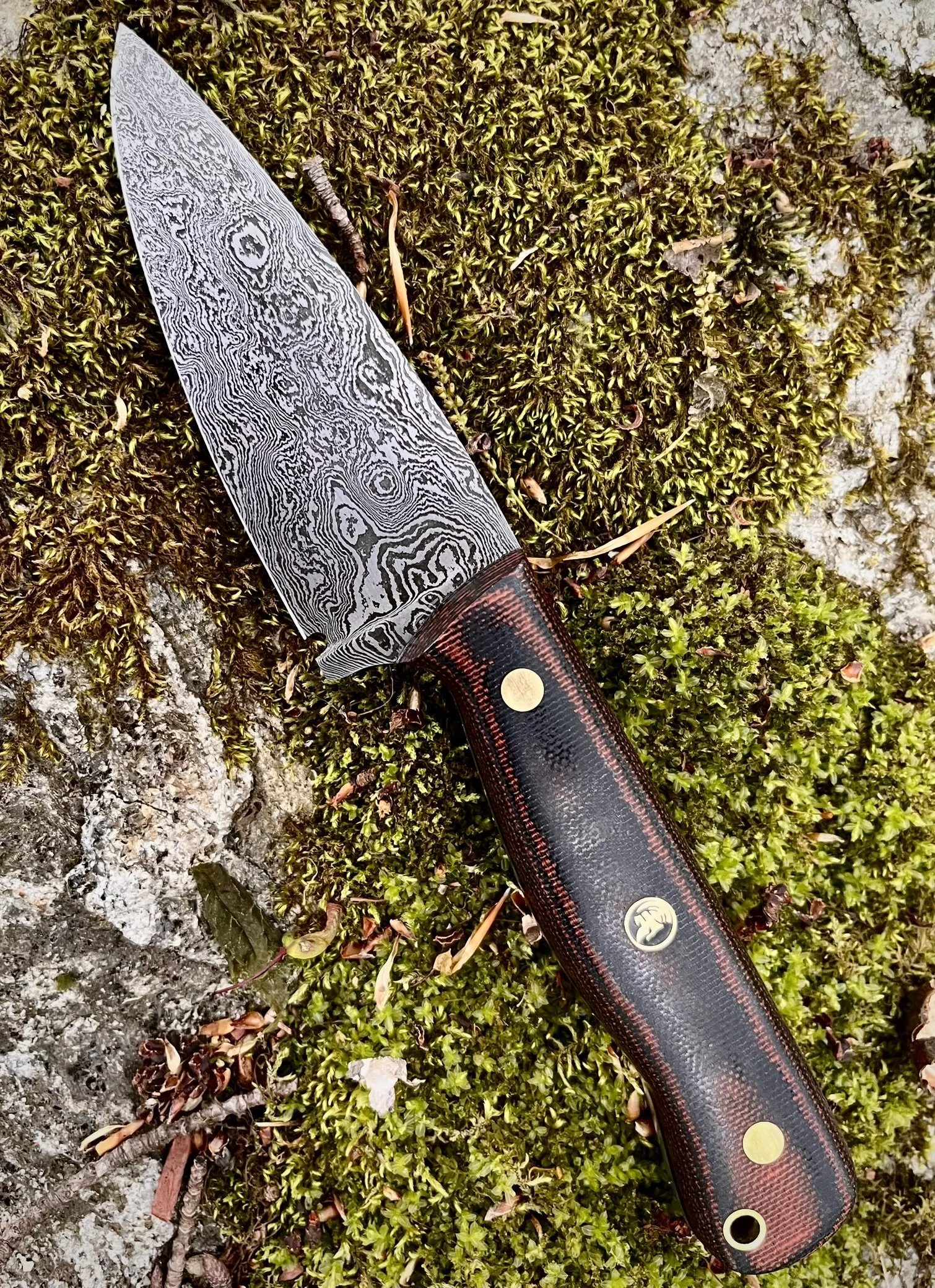 A Damascus steel knife with a patterned blade and a black and red handle lying on moss-covered ground.