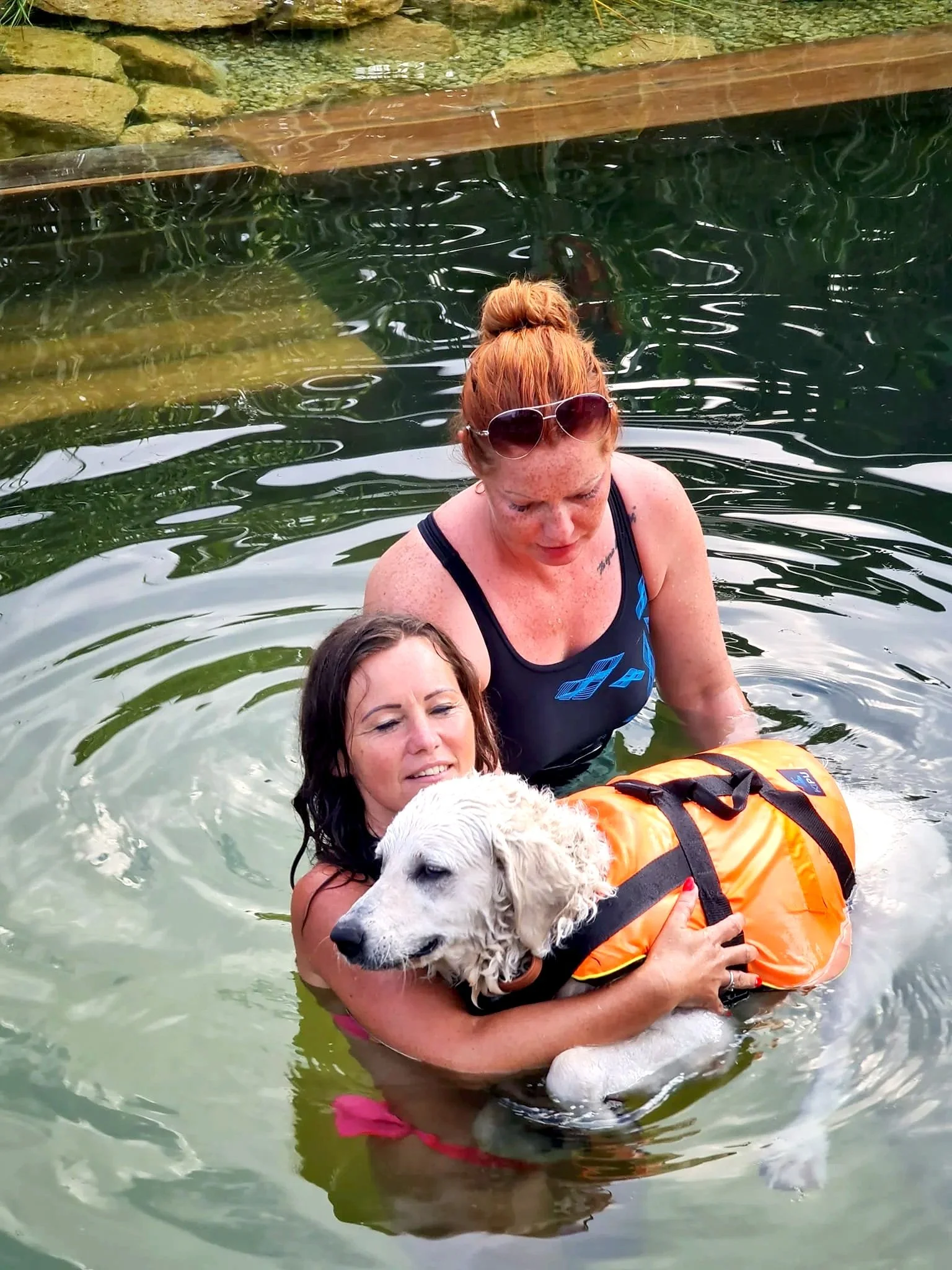 Two women are in a body of water, holding a wet dog wearing an orange life jacket. One woman has glasses on her head and red hair, and the other has dark hair and is wearing a pink swimsuit.