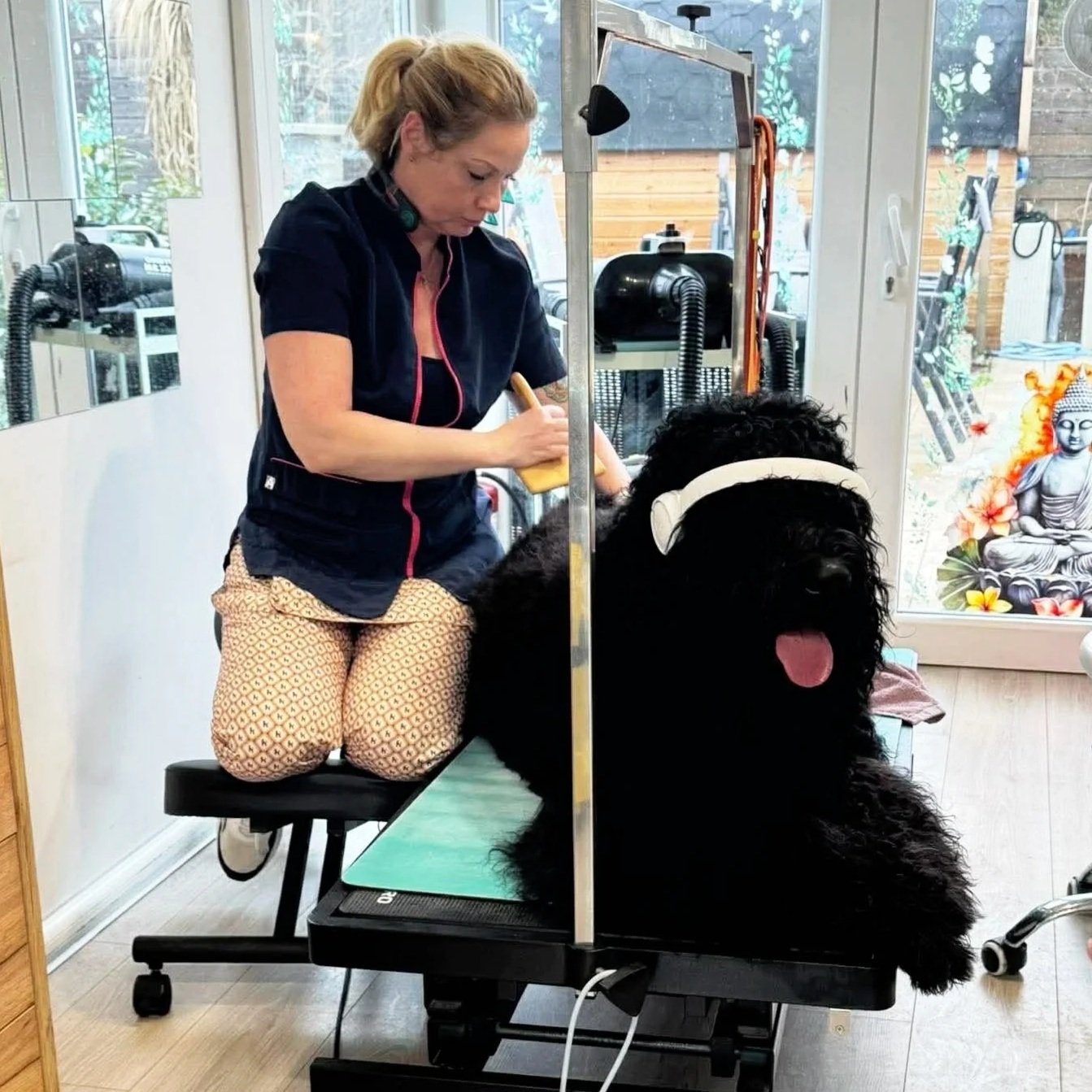 A woman grooming a large black dog with curly fur on a grooming table in a pet grooming salon.