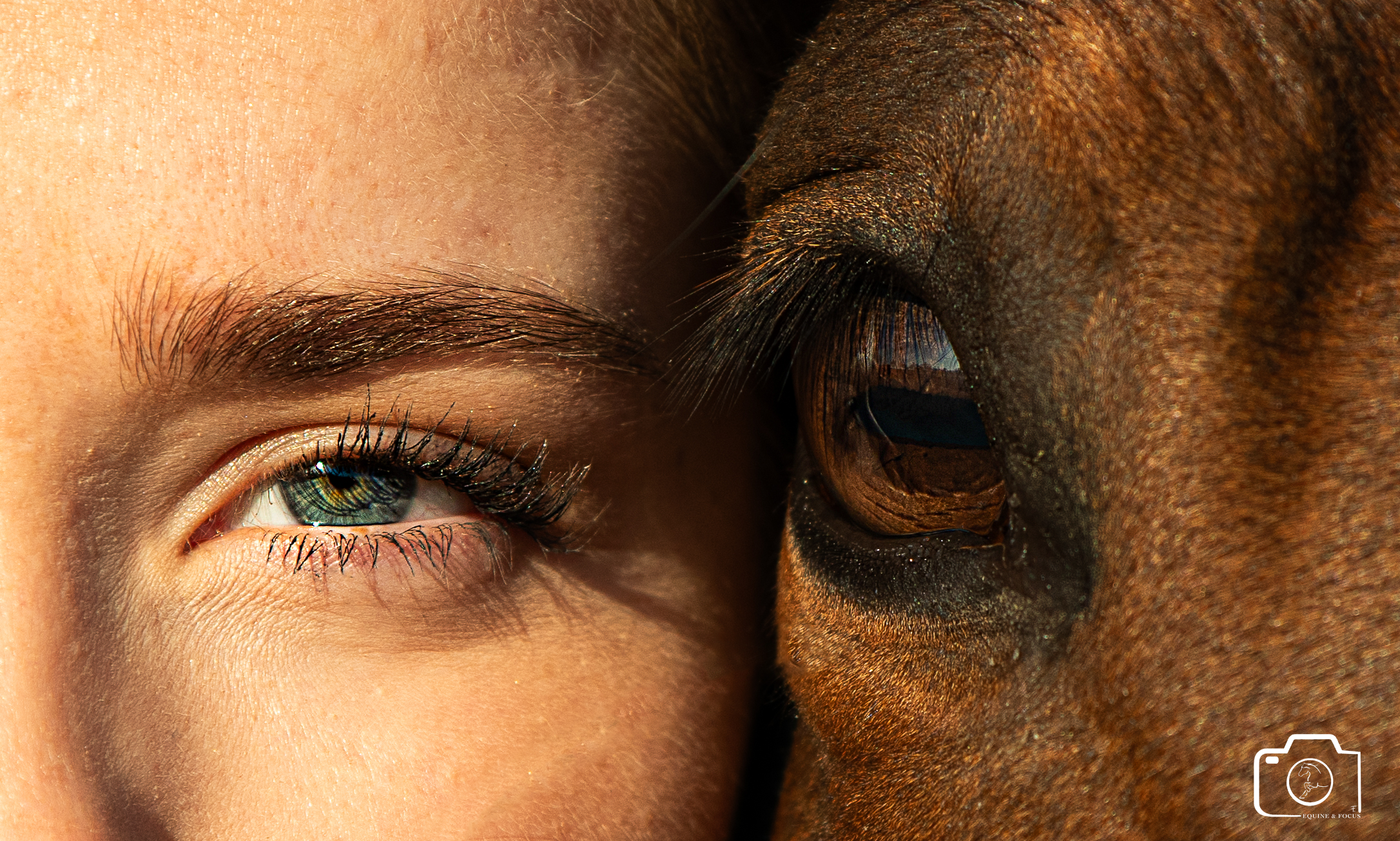 Close-up of a woman and a horse touching noses, highlighting their eyes and nose textures.