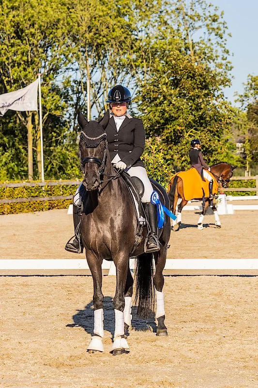 TRAINEN VAN HET PAARD