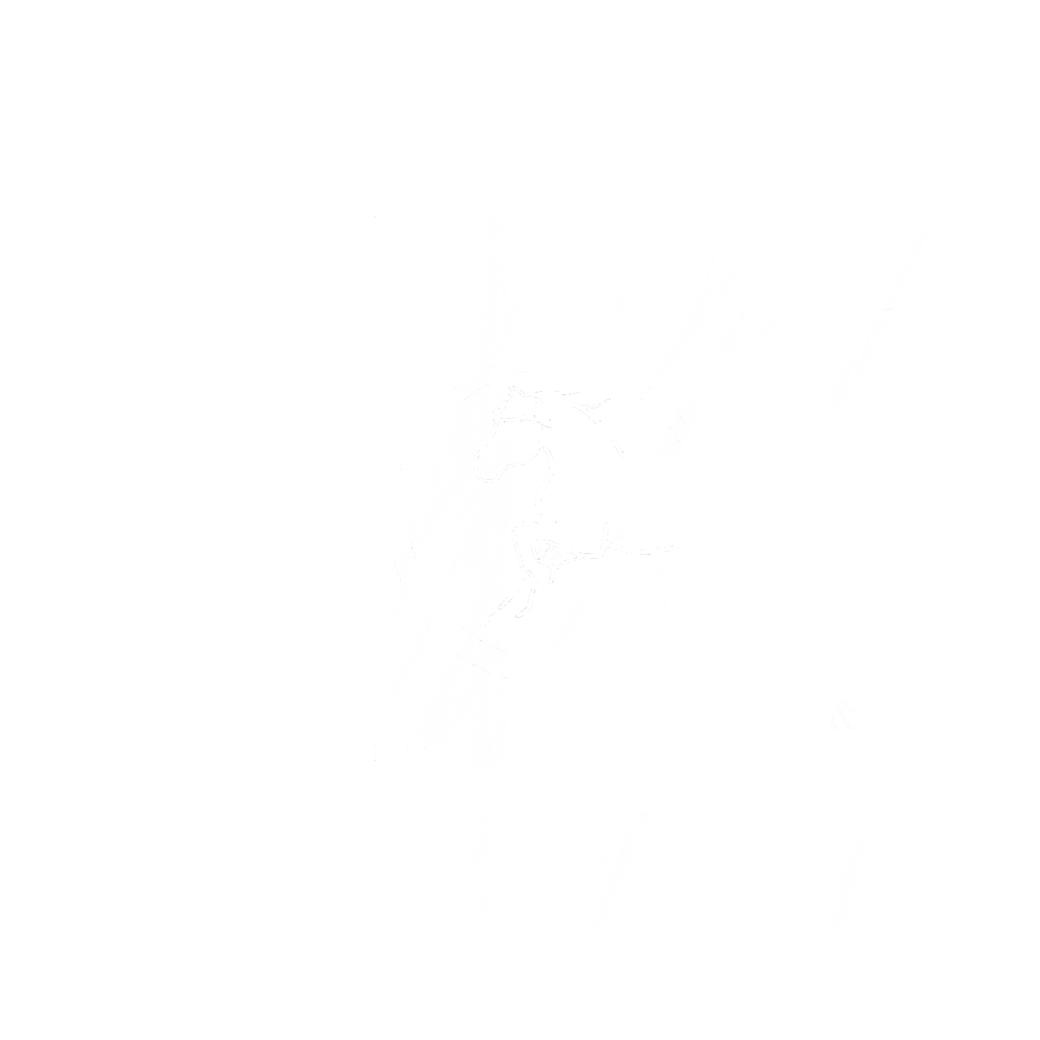 VD HORSE &amp; VISION