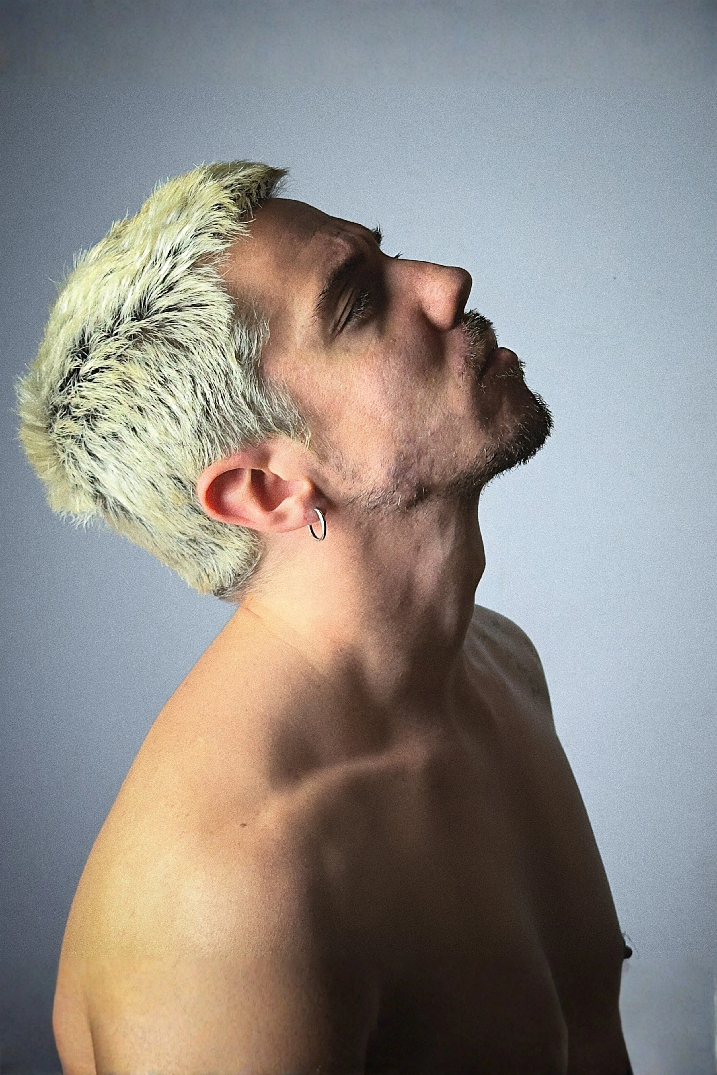 1copia.jpeg