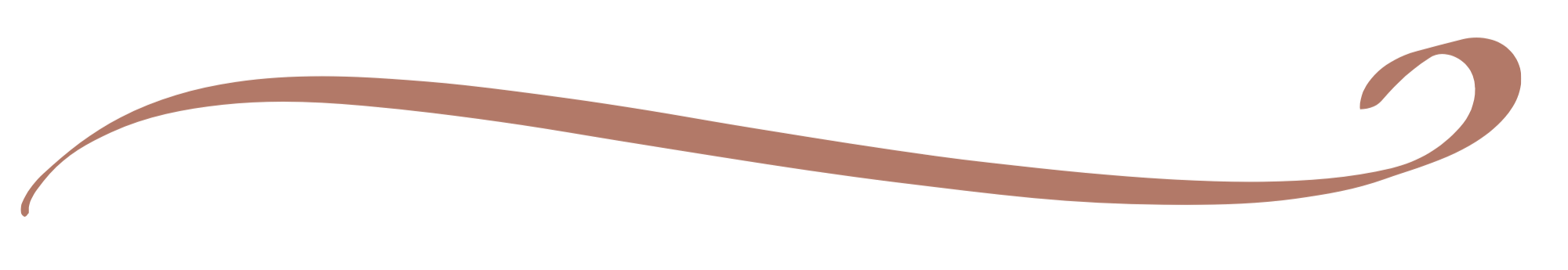 A brown wavy arrow pointing to the right.