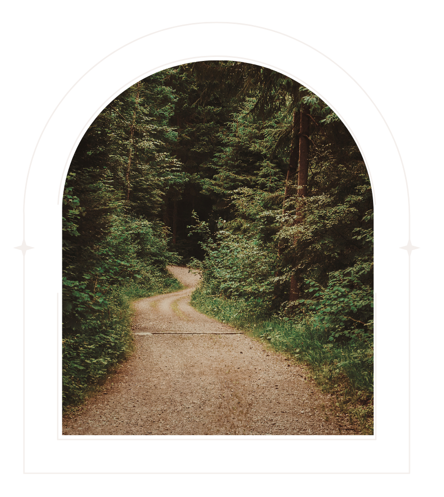 A dirt trail winding through a dense green forest, viewed through an arched window.