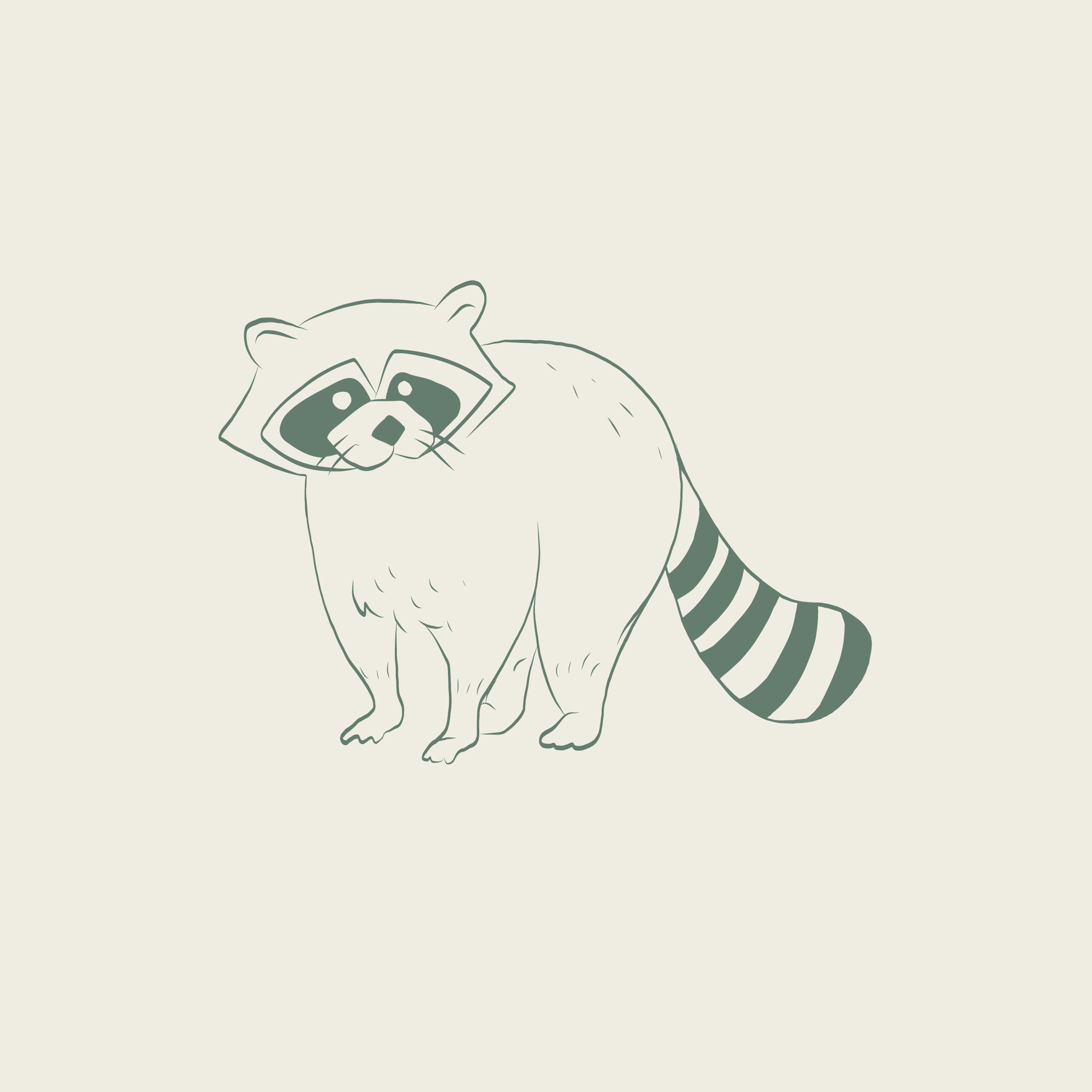 WW 13 Coon cream.png