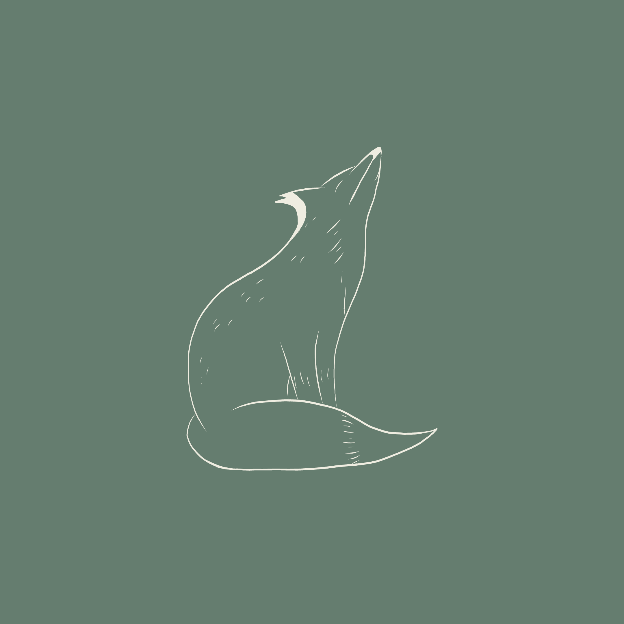 WW 03 Fox lgreen.png