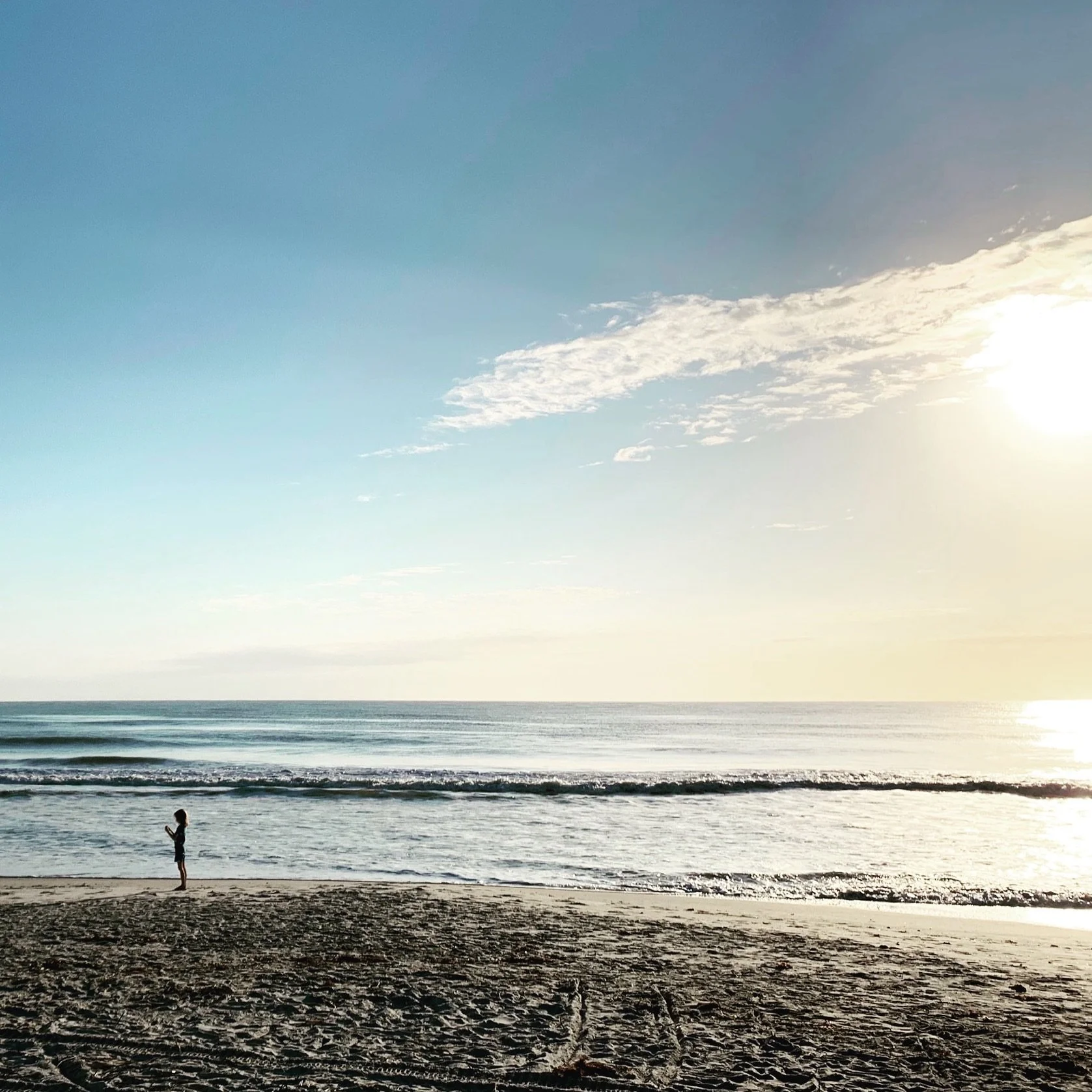 South for Spring Break