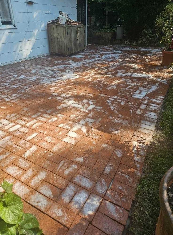 Paved outdoor patio with red bricks, some areas covered in white powdery substance, cluttered wooden storage box in corner, potted plants and trees around, house wall painted light blue, sunlight and shadows visible.