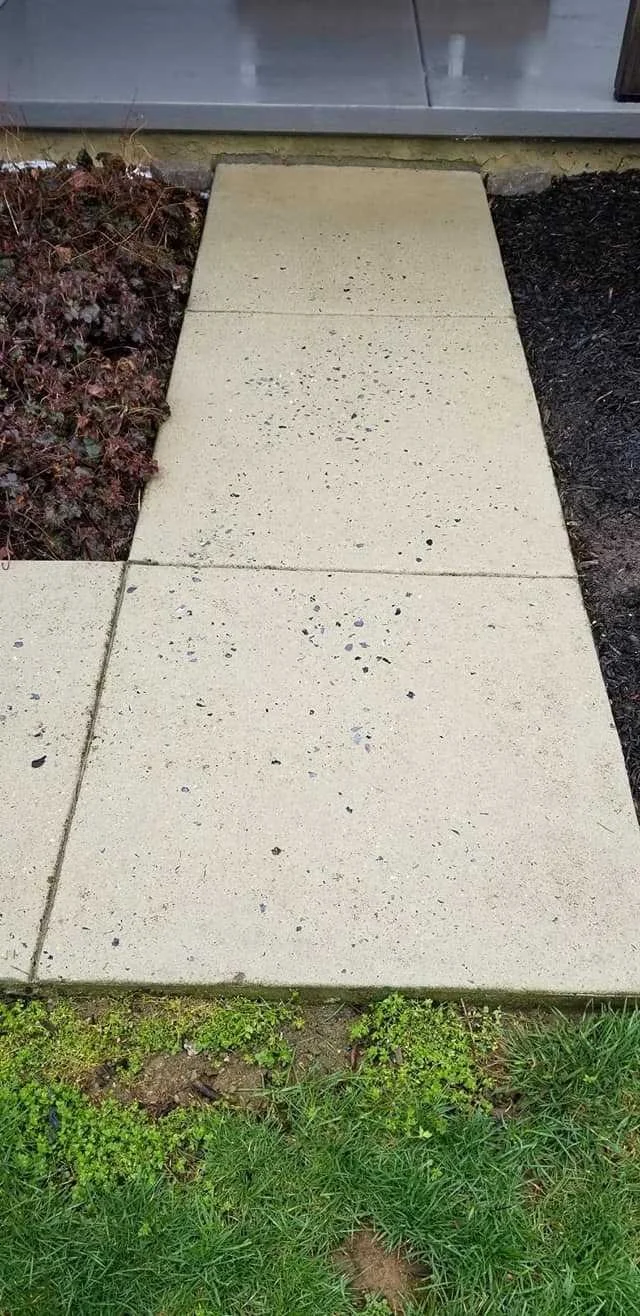 Concrete sidewalk with small pebbles and a small section of grass and plants at the bottom, with a dirt patch.
