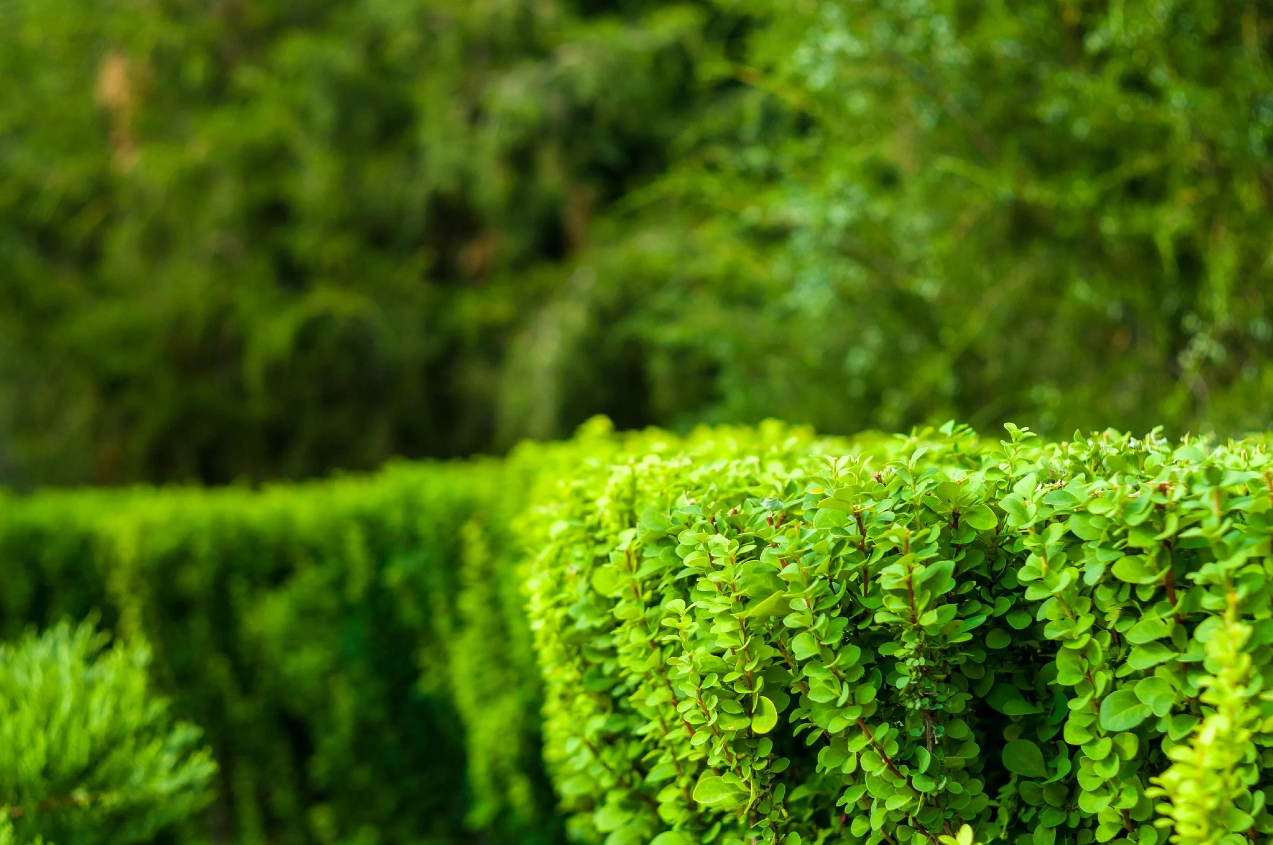 The New EACA Requirement for 401(k) Plans Under SECURE 2.0