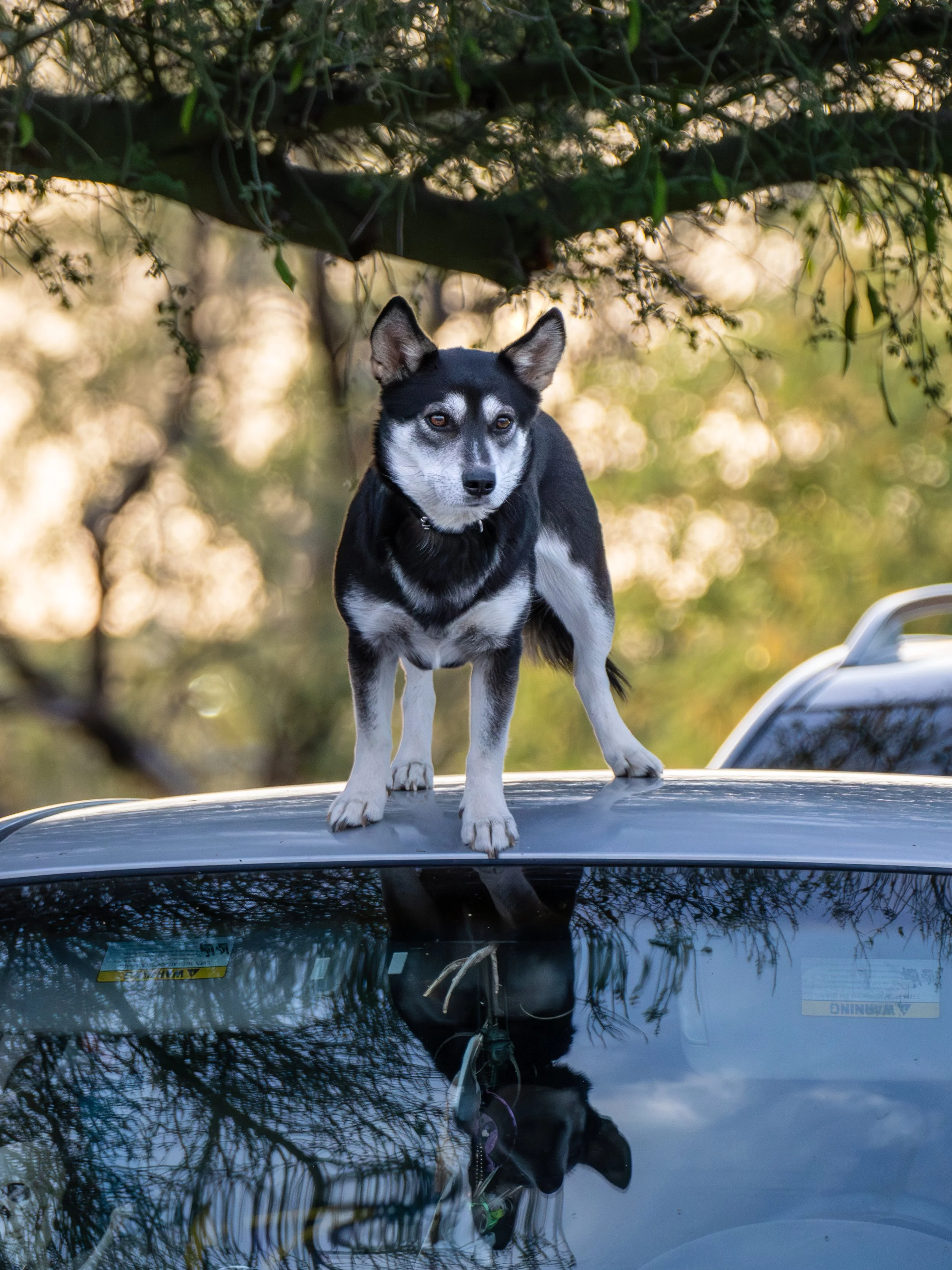 4-23-26 photo walk-2.jpg