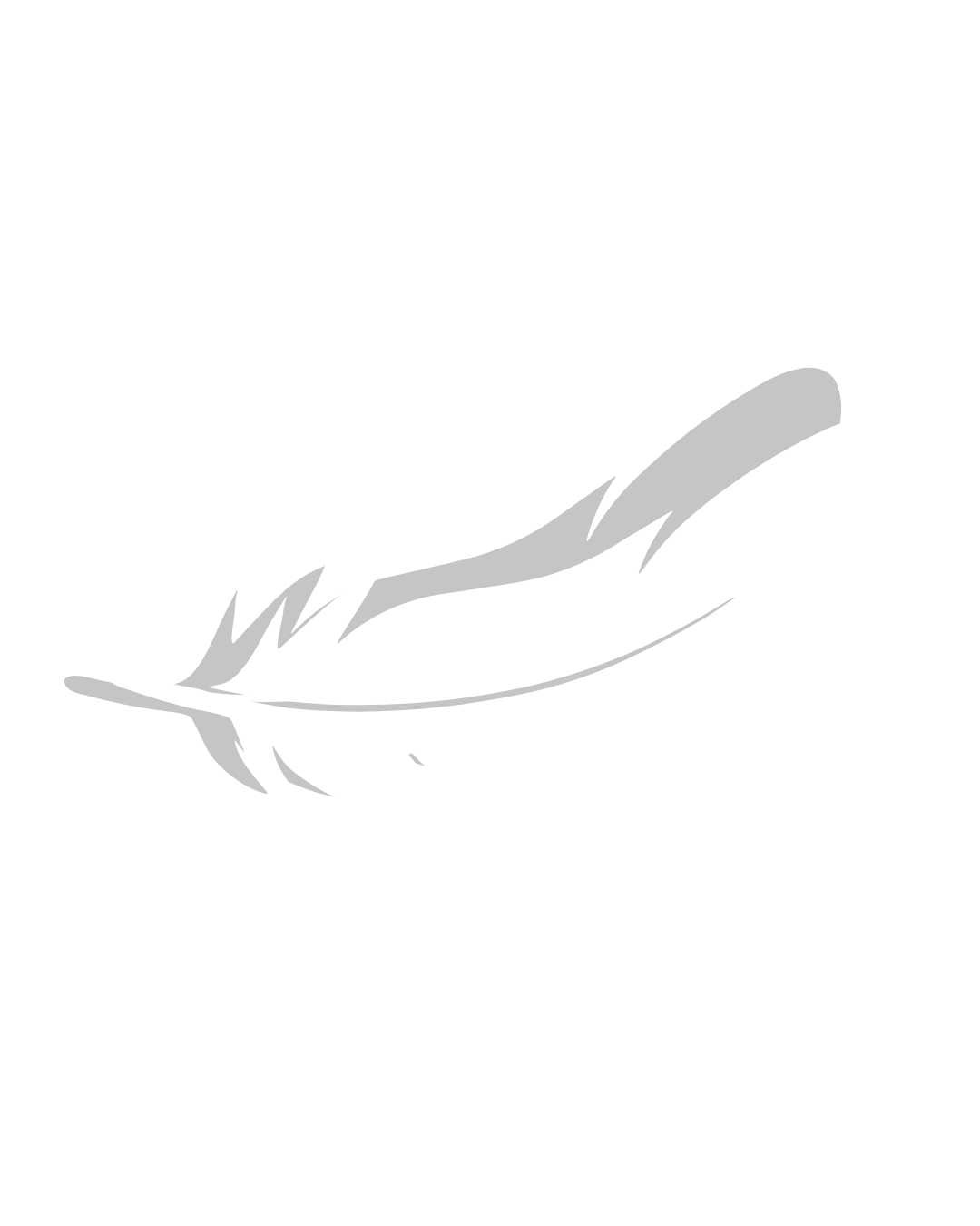 Black and white illustration of a feather.