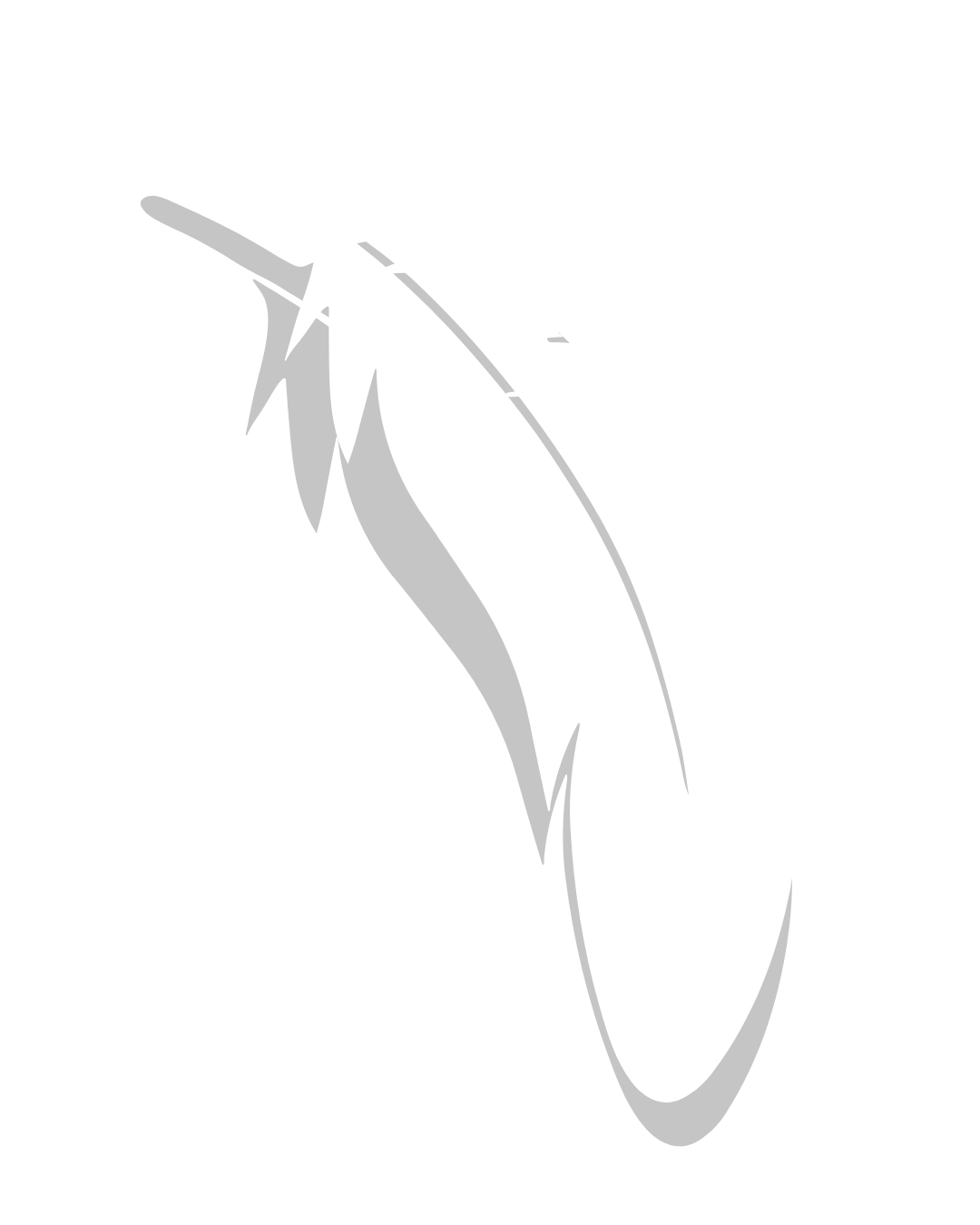 A black and white digital illustration of a feather.