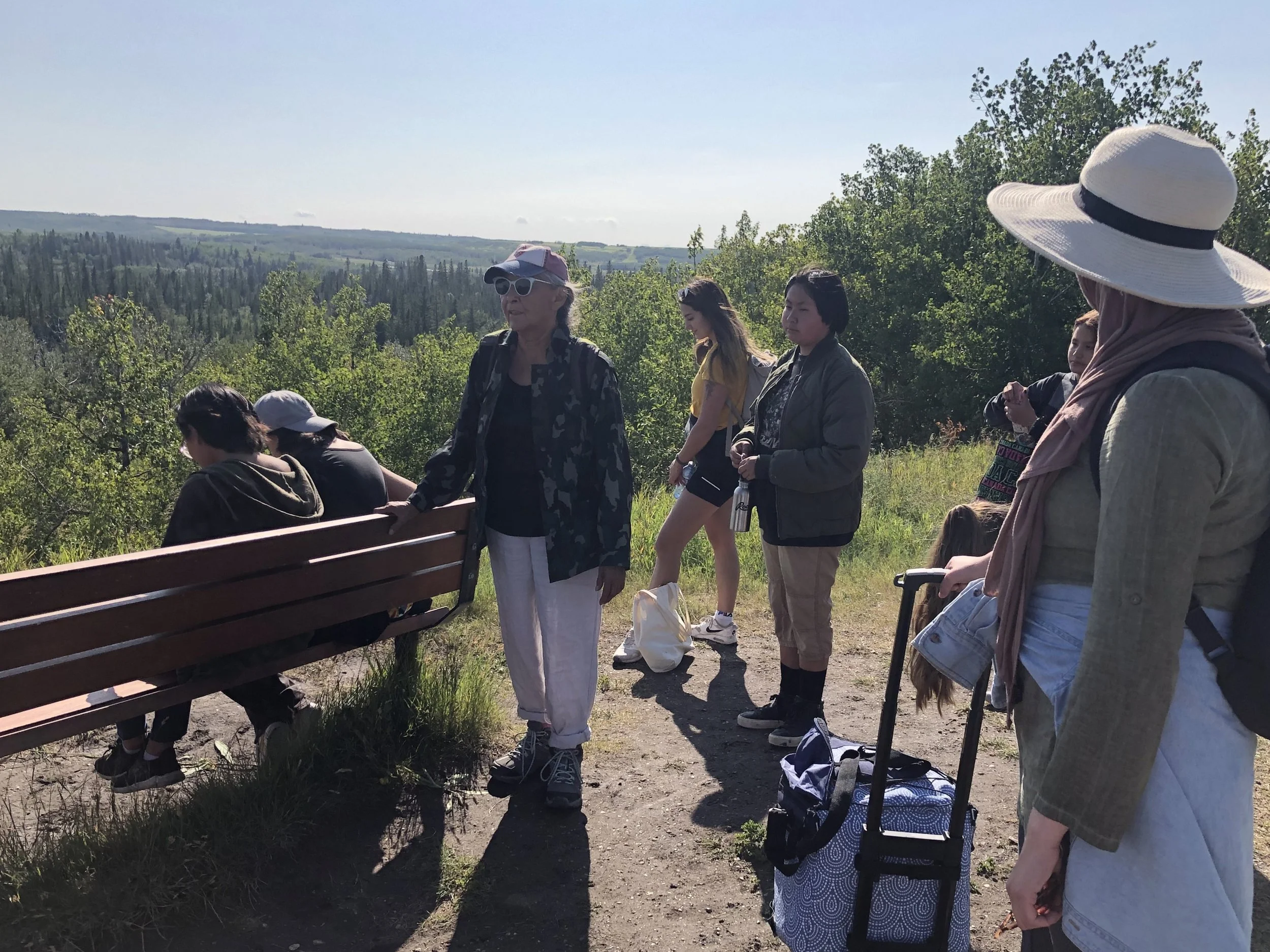 A group of people standing and sitting on a hillside overlooking a green forested landscape on a sunny day.