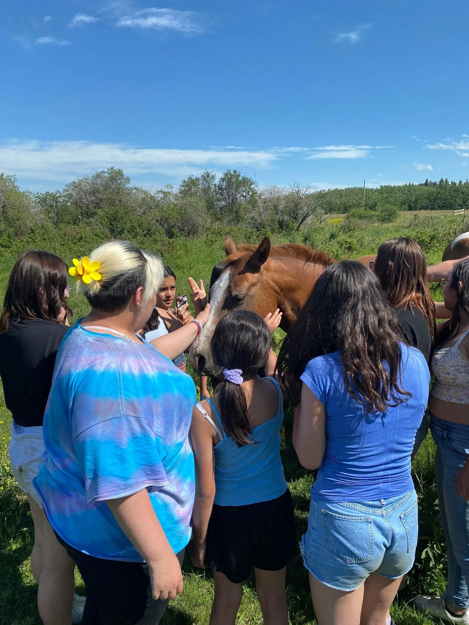 Group of children and teenagers petting a brown horse in a green field on a sunny day.