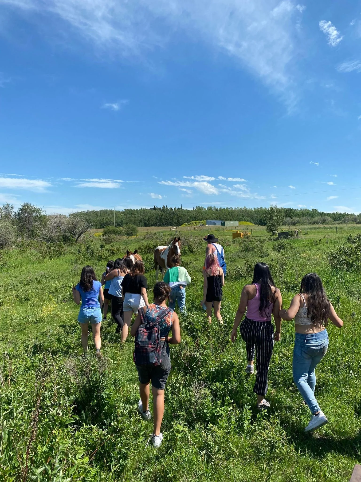 Group of children and an adult walking through a grassy field toward a horse under a blue sky with some clouds.