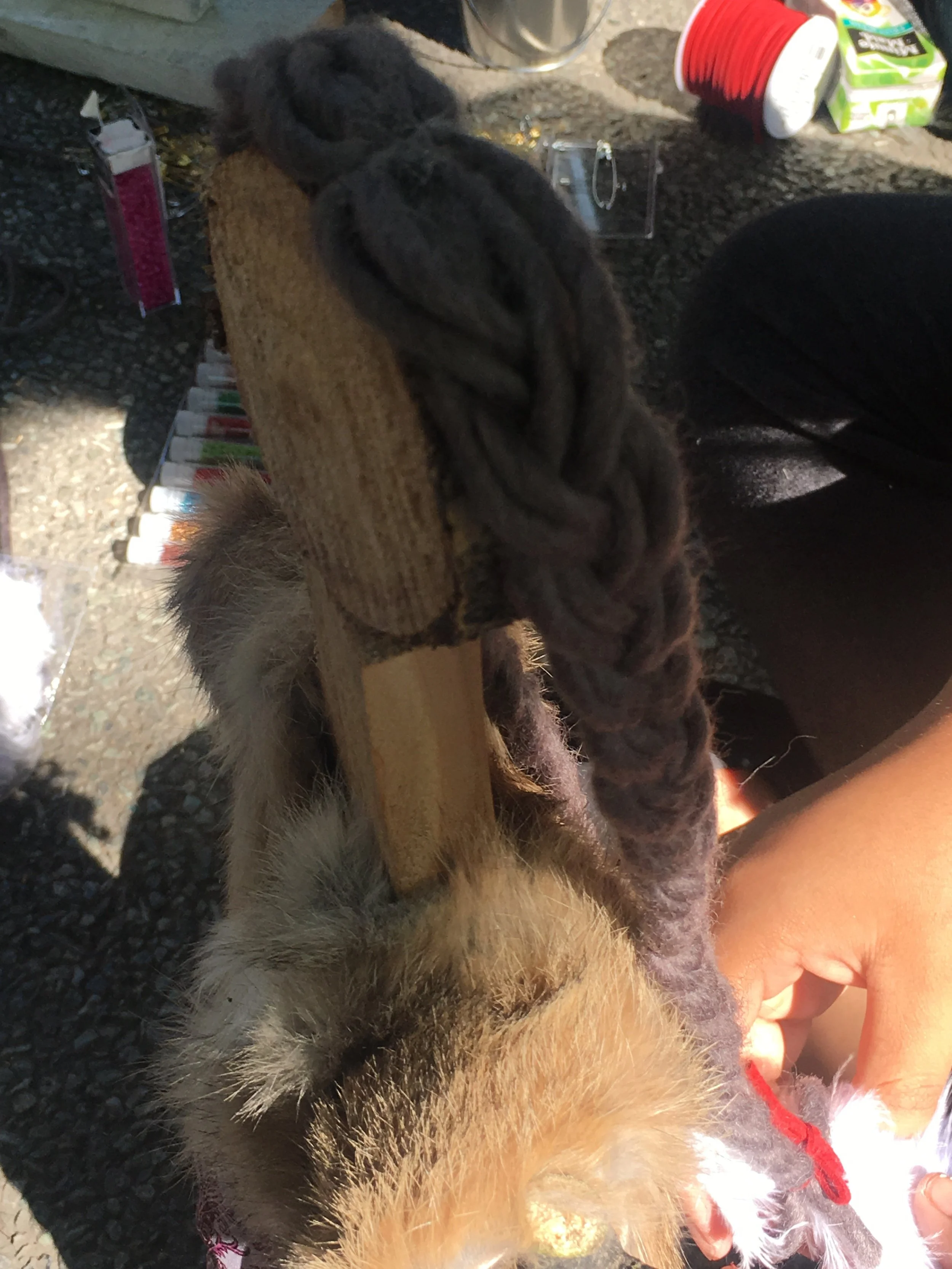 A small dog with fluffy tan fur is being held by a person, and a braided gray rope is draped over its back.
