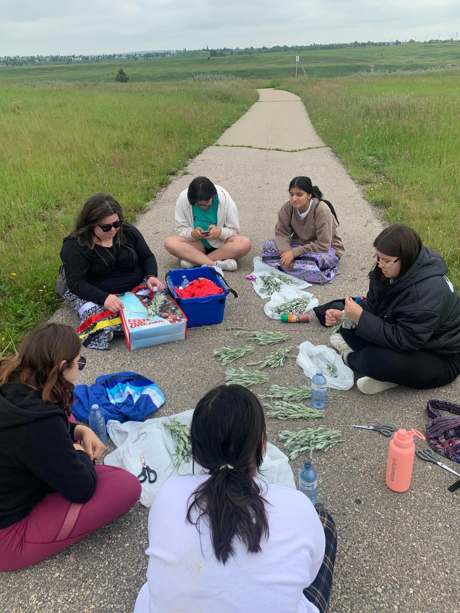 Seven women sit on a rural paved road surrounded by green fields, collecting and arranging herbs or plants with scissors, bottles, and supplies.