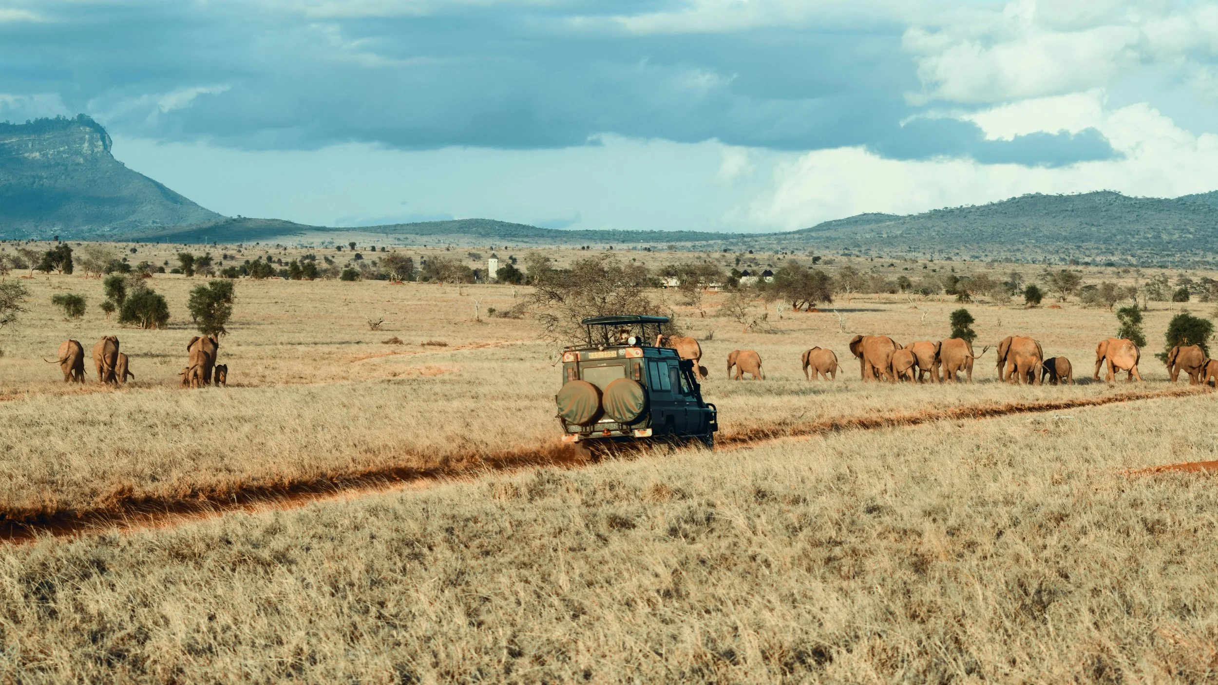A safari scene with a black vehicle driving on a dirt path through a grassy plain, herds of elephants in the distance, sparse trees, and a mountain range under a cloudy sky.