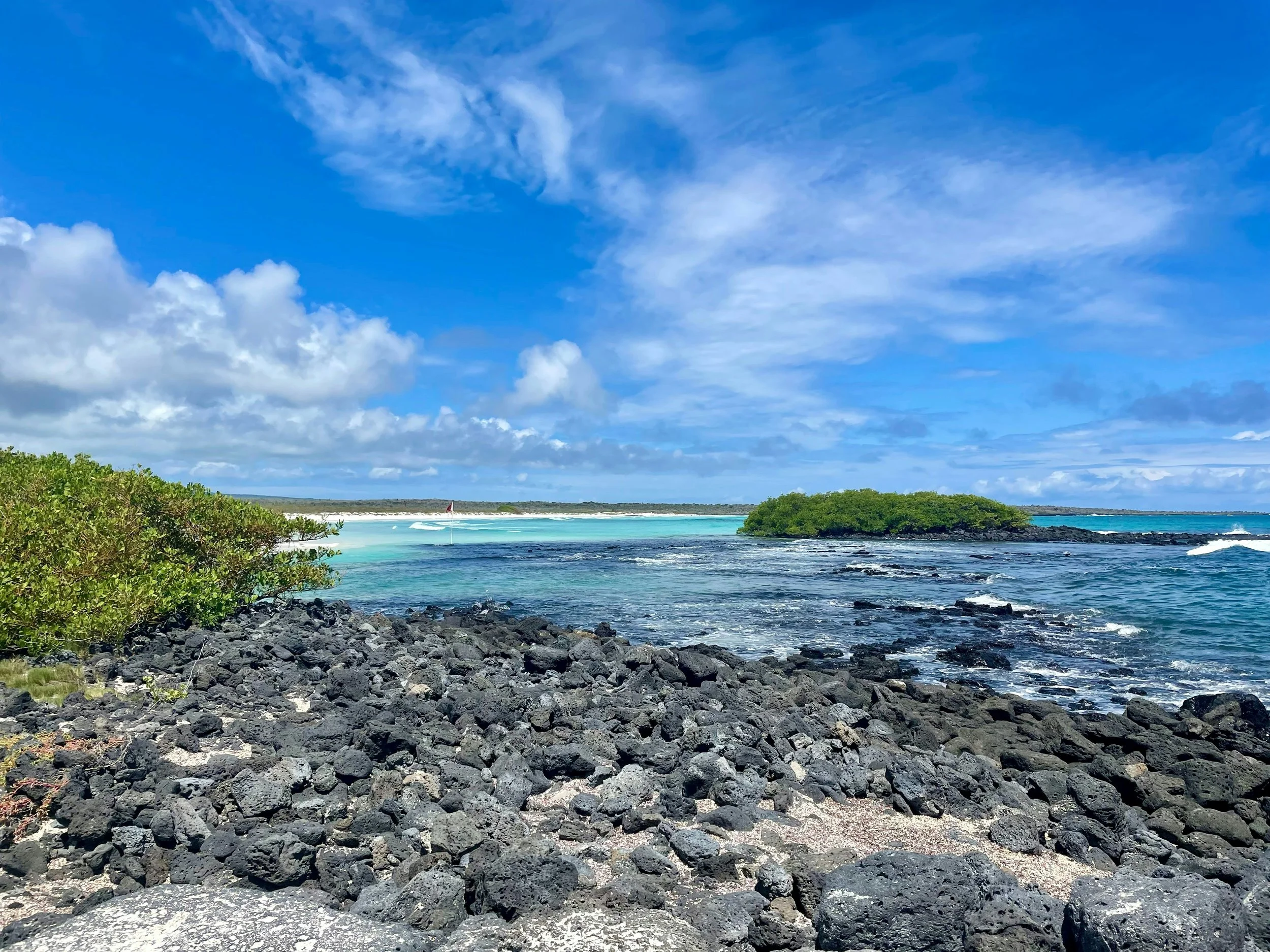 A beach with black volcanic rocks in the foreground, lush green bushes to the left, light blue waters, and a small island in the distance under a partly cloudy sky.