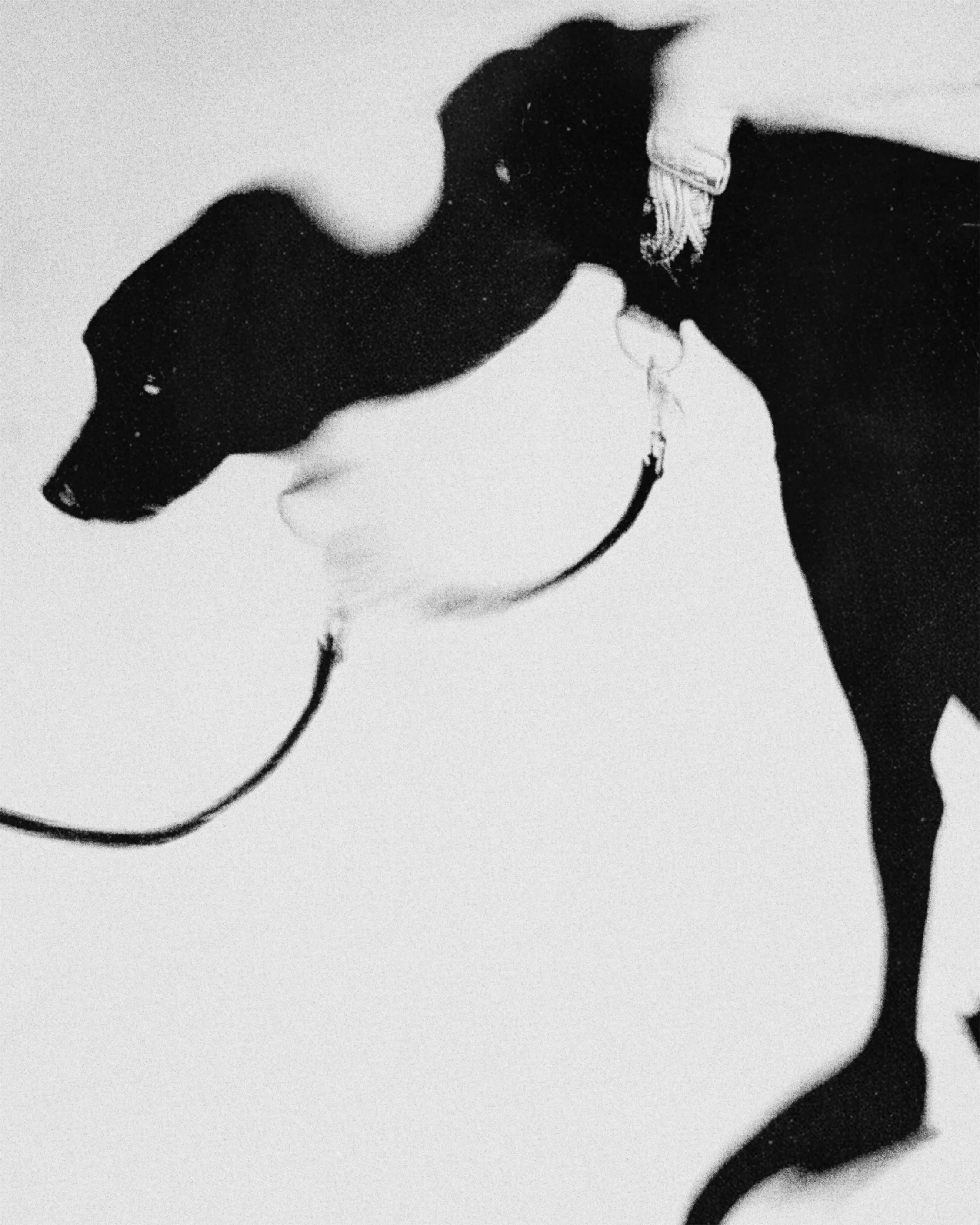 Close-up black and white photograph of a woman's face, showing only her nose and mouth. The woman has curly hair and is wearing earrings.