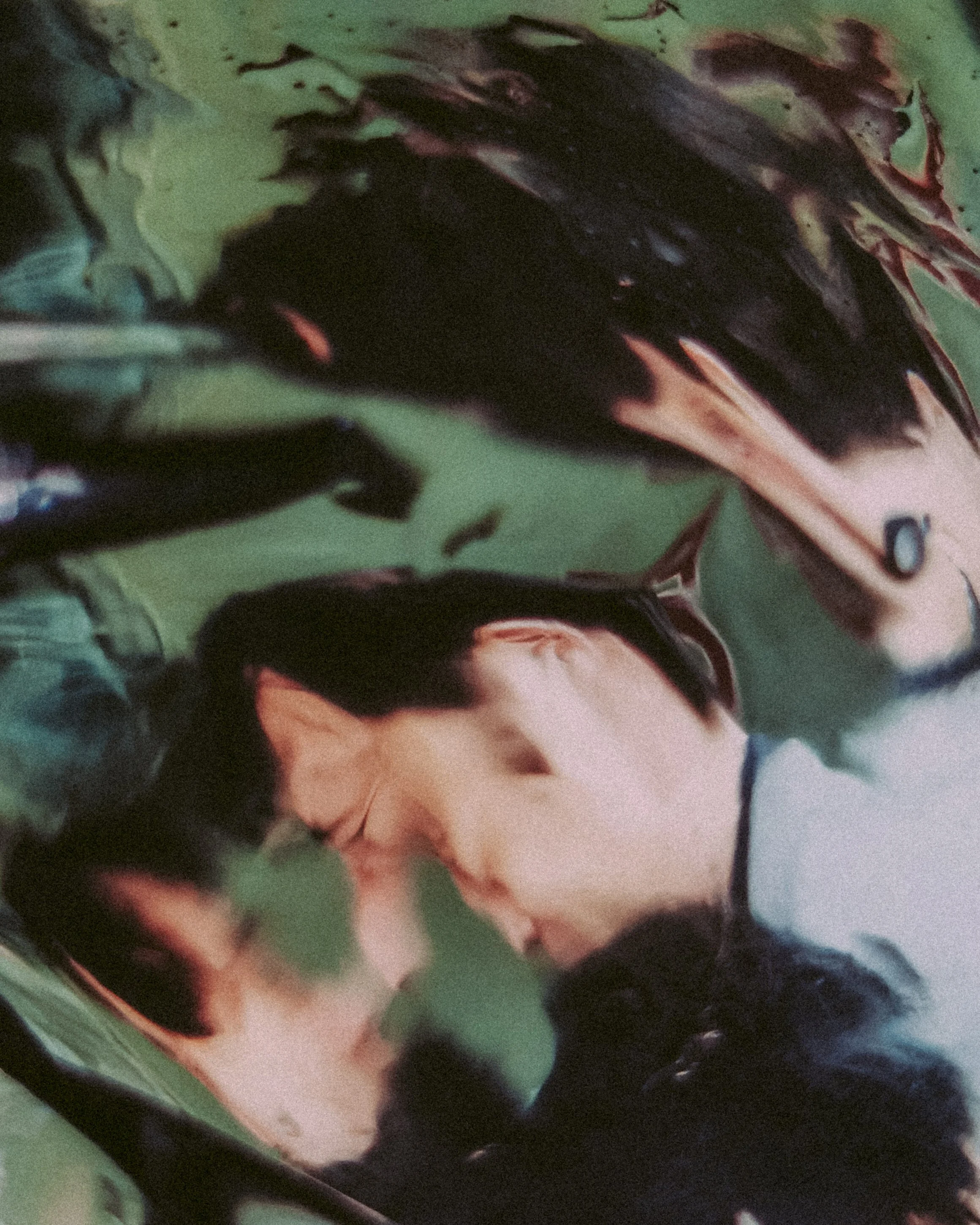 Close-up of green leaves with black and red streaks, part of a plant or floral arrangement.