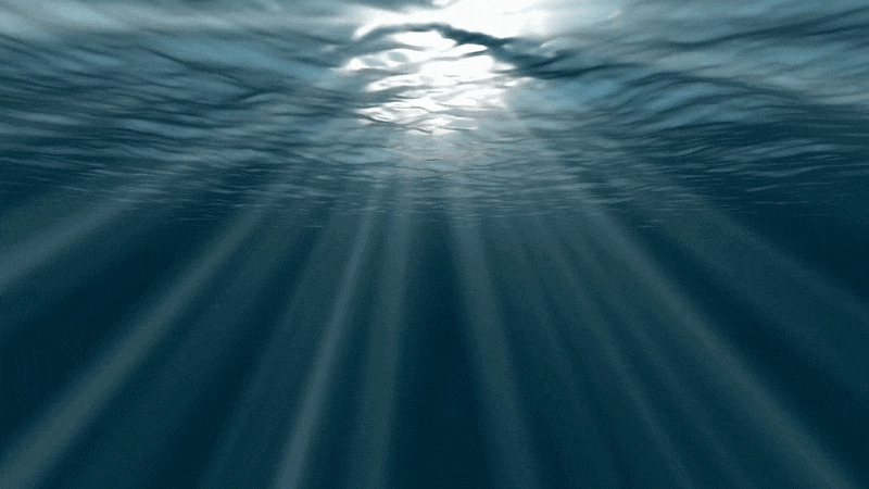 UnderOcean_63427-506377691_medium-ezgif.com-optimize.gif