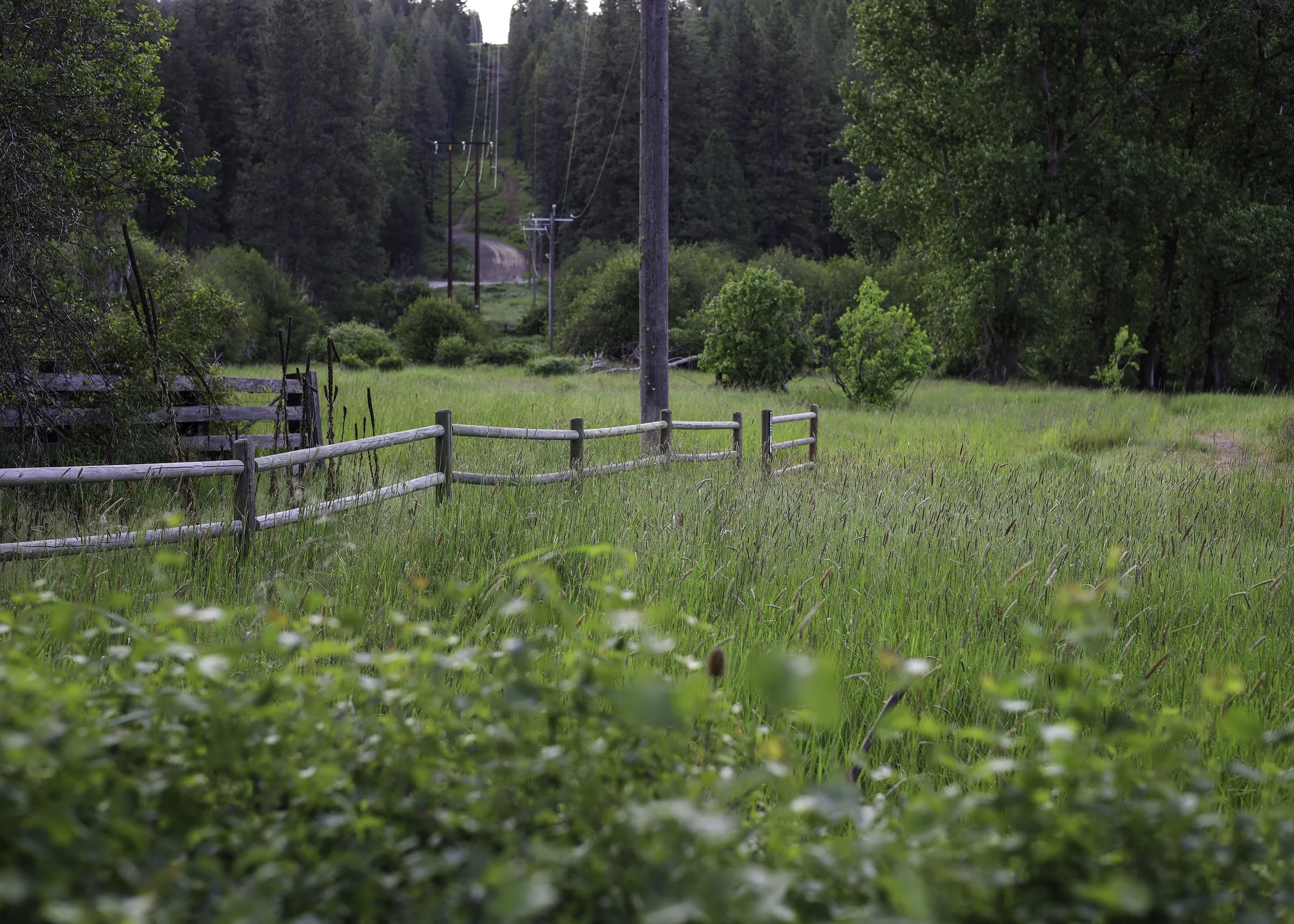 Idaho-55-Edit (1).jpg