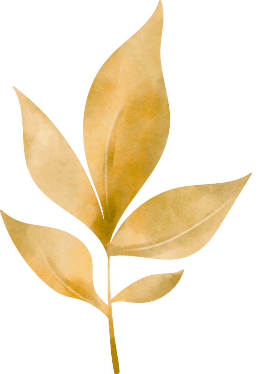 Illuminate Play Therapy & Counseling - Gold leaf accent graphic