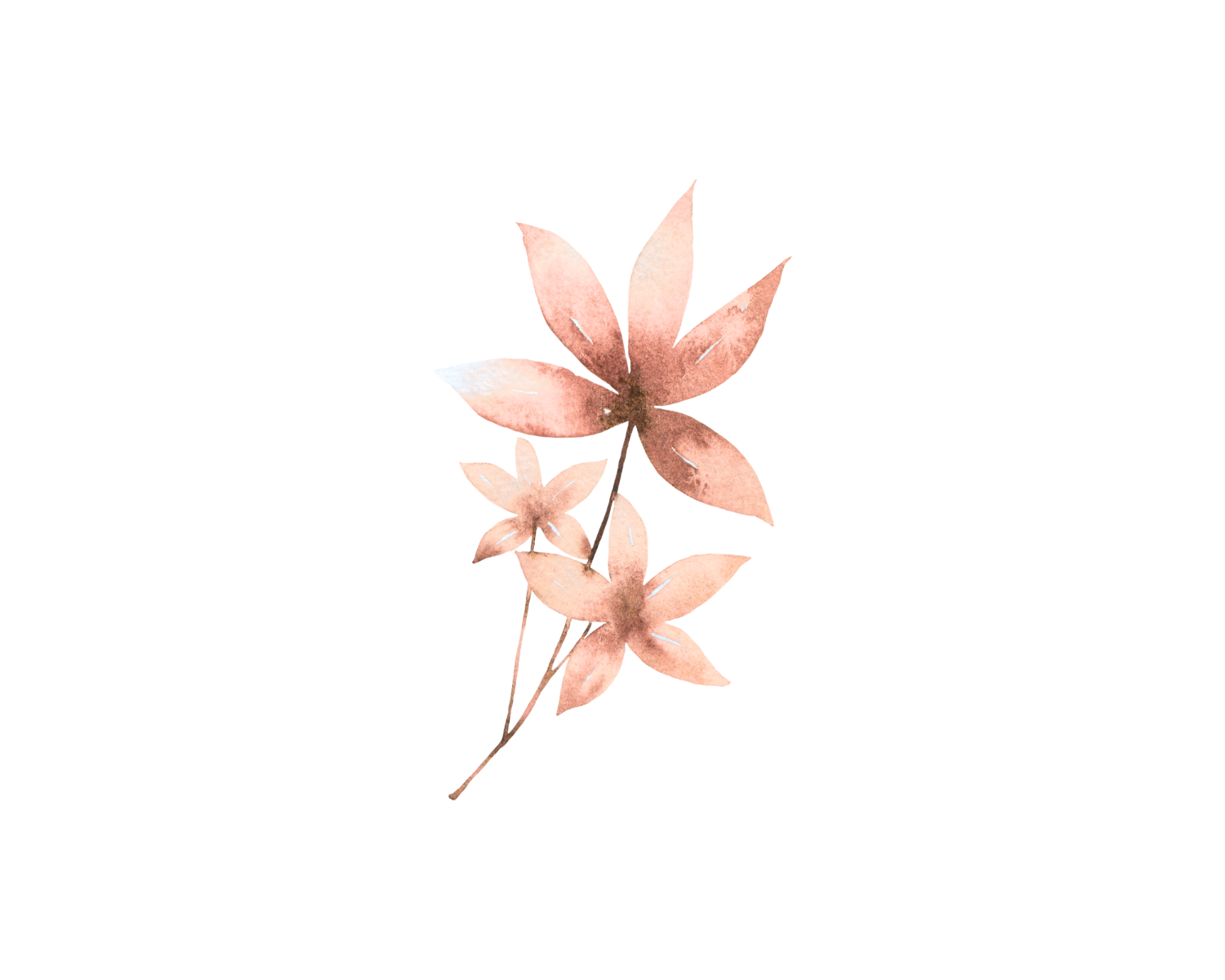 Consulting services - botanical accent graphic